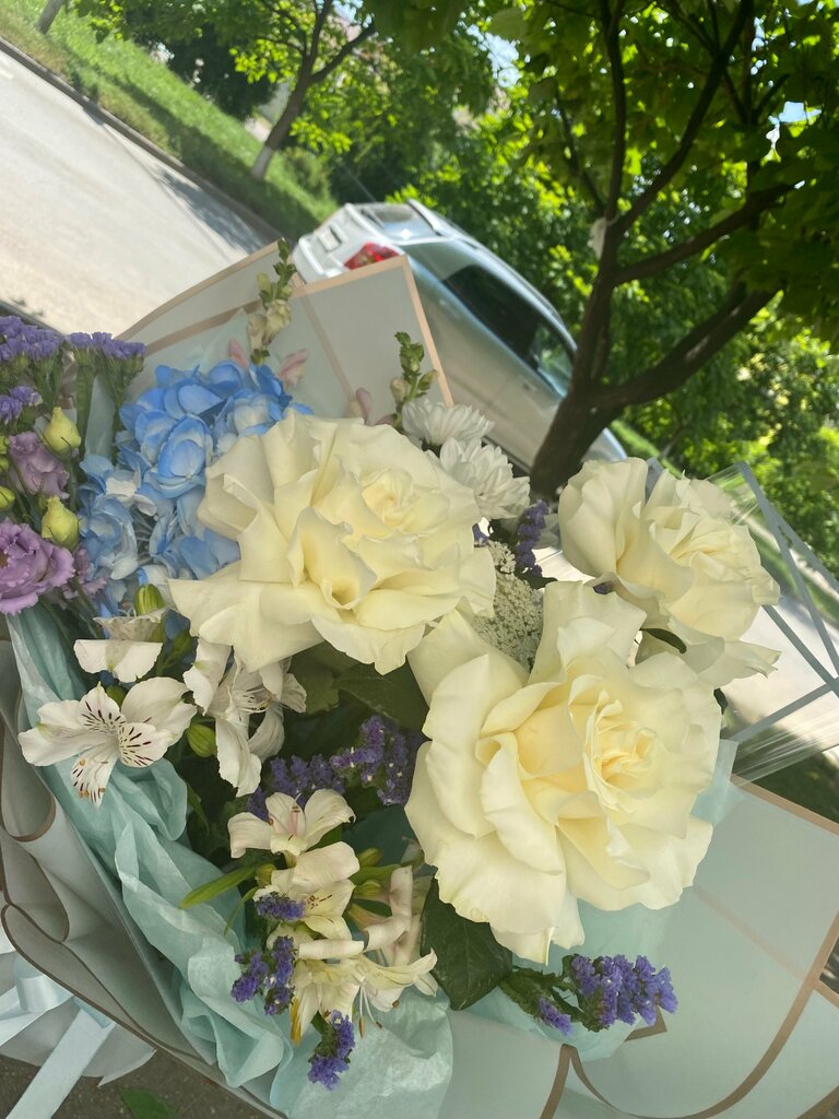 Полина Сухова