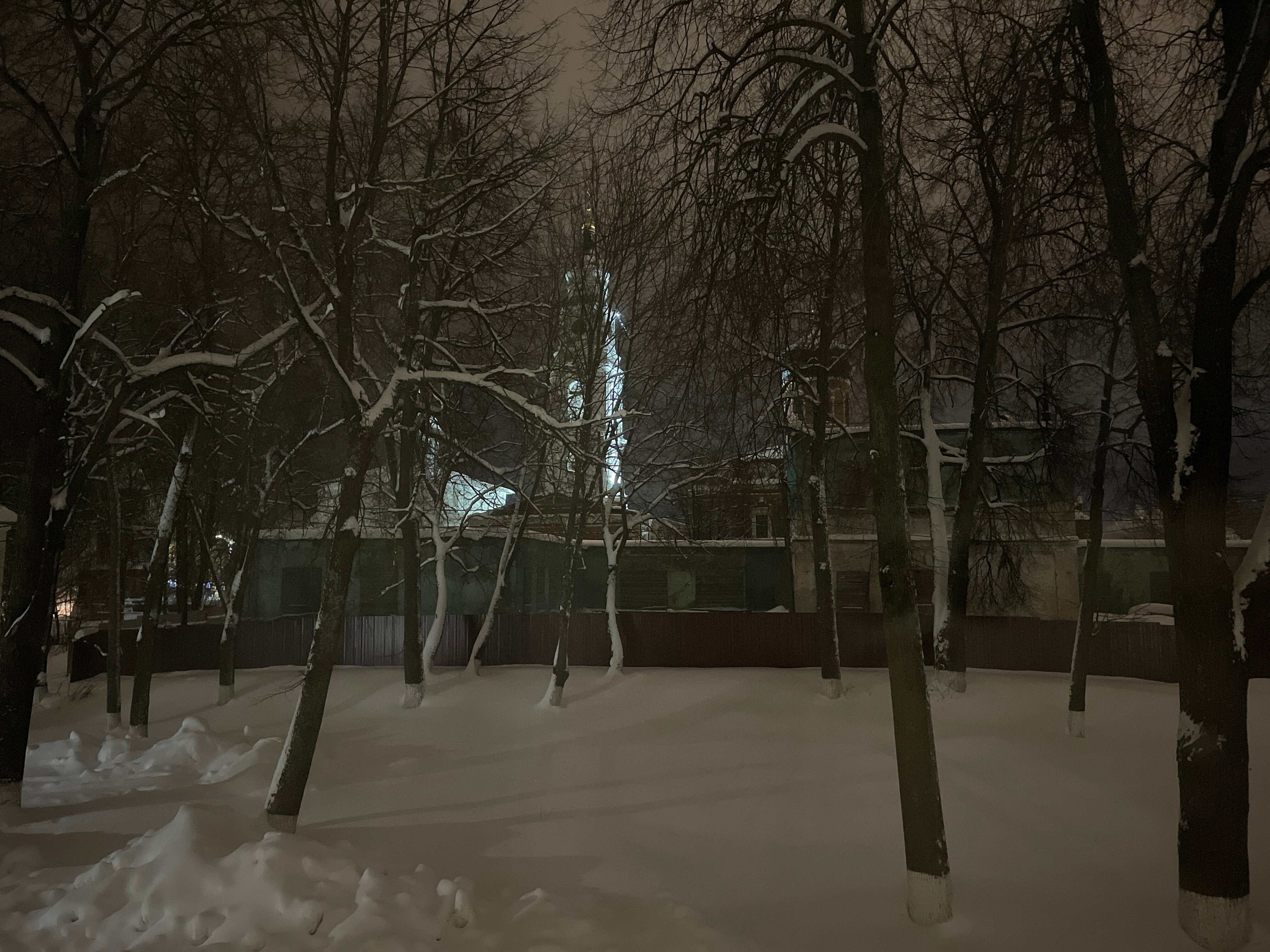 Фото Николь