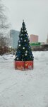 Citytrees - уличные ёлки и световые фигуры (Краснобогатырская ул., 90, стр. 22, Москва), ёлки и ёлочные игрушки в Москве