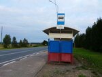 Чернеево (Vologda Region, Sheksninskiy rayon, A-114, 58-y kilometr), public transport stop