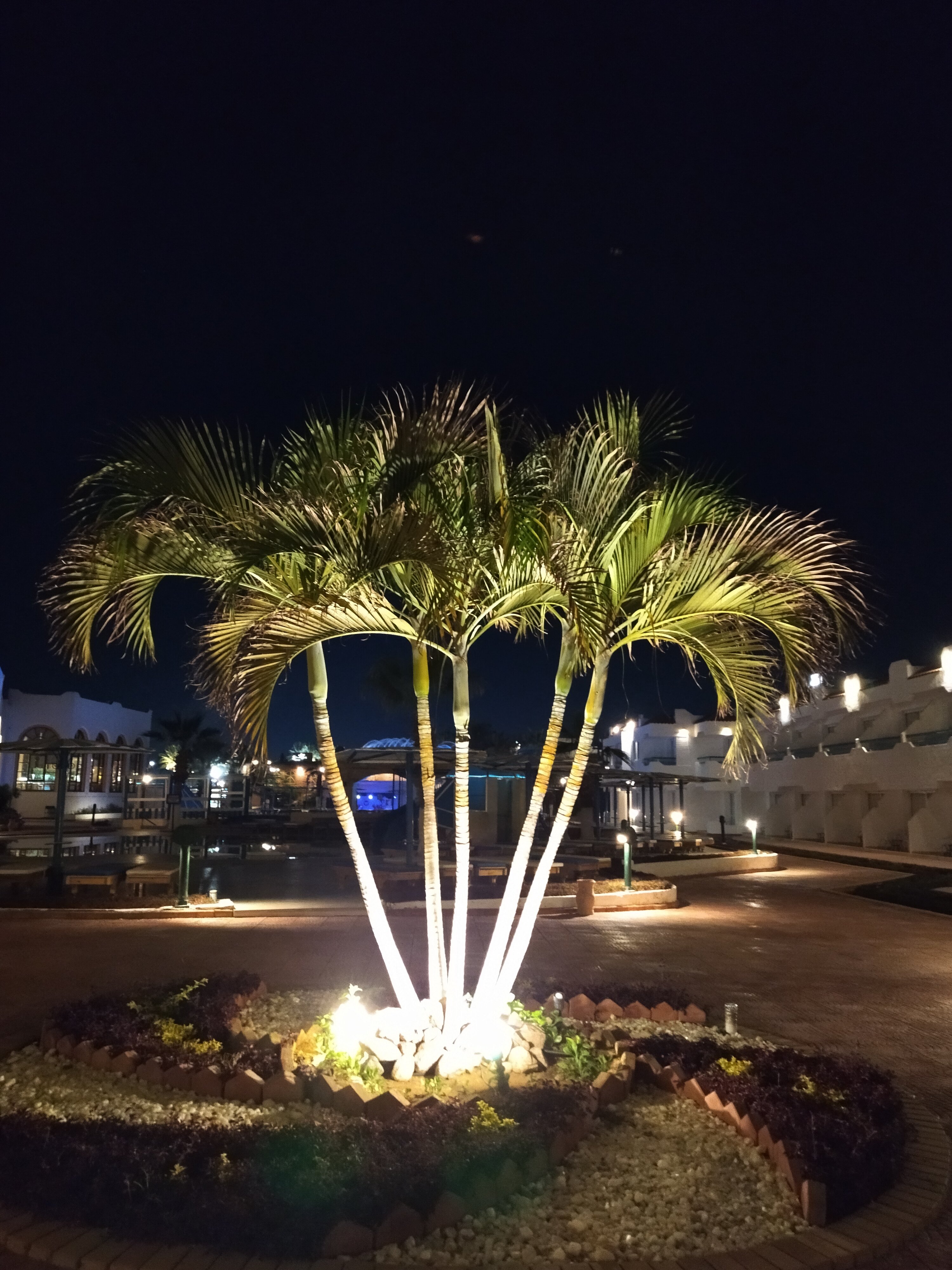 Фото Dreams Vacation Resort - Sharm El Sheikh