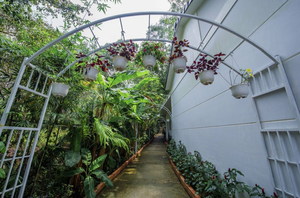 Фото Hanh Ngoc Bungalow