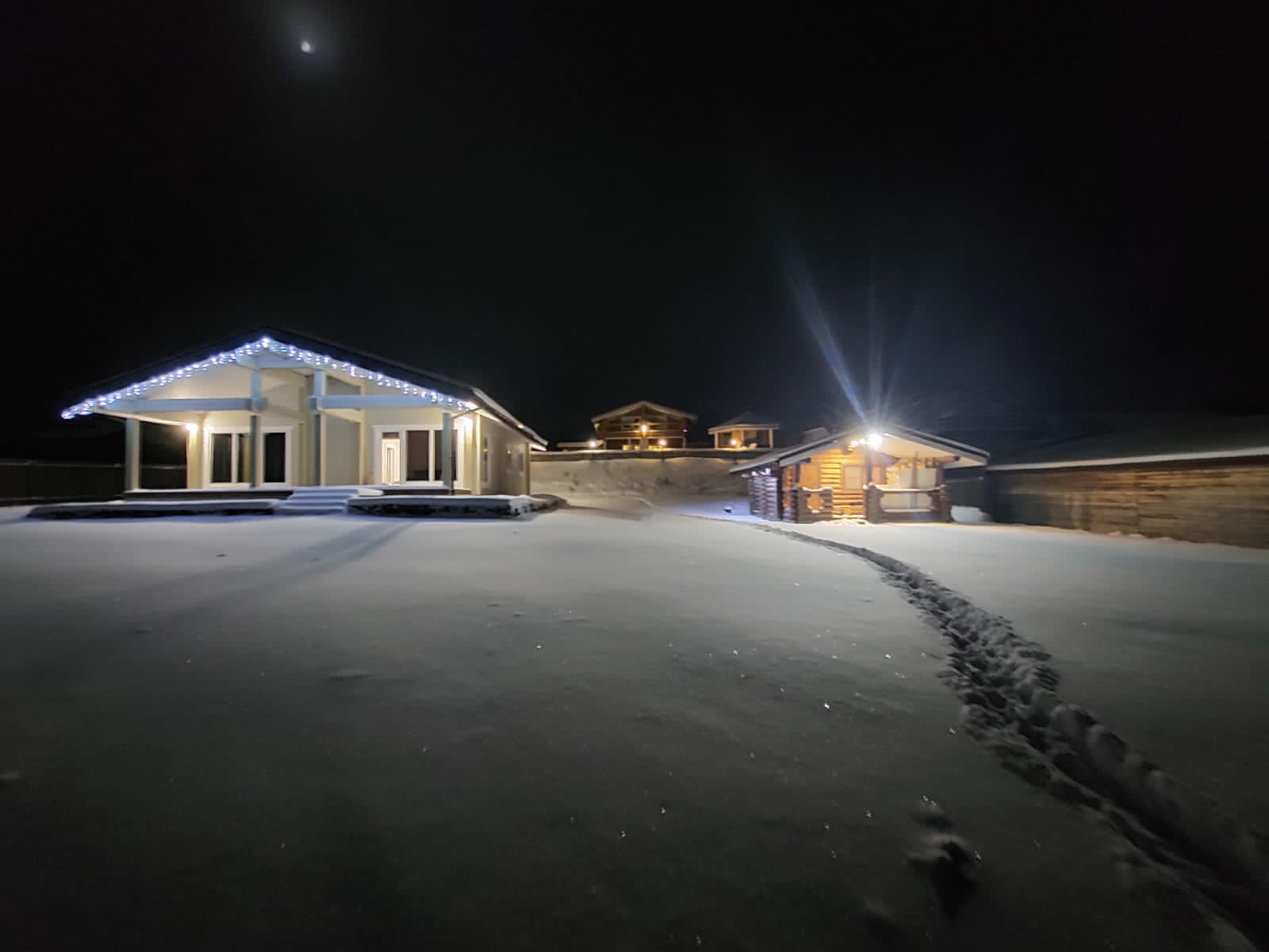 Фото Таволга