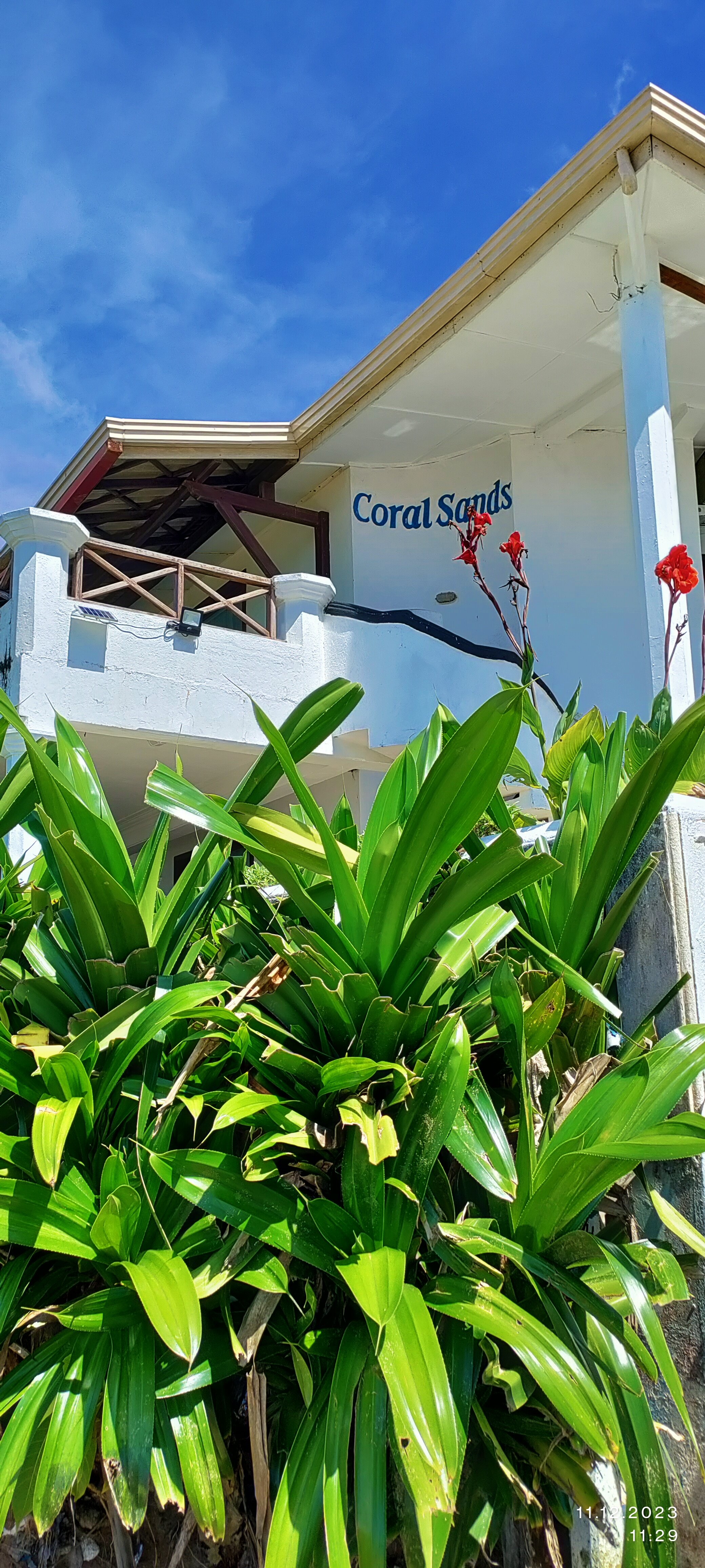 Фото Coral Sands Hotel