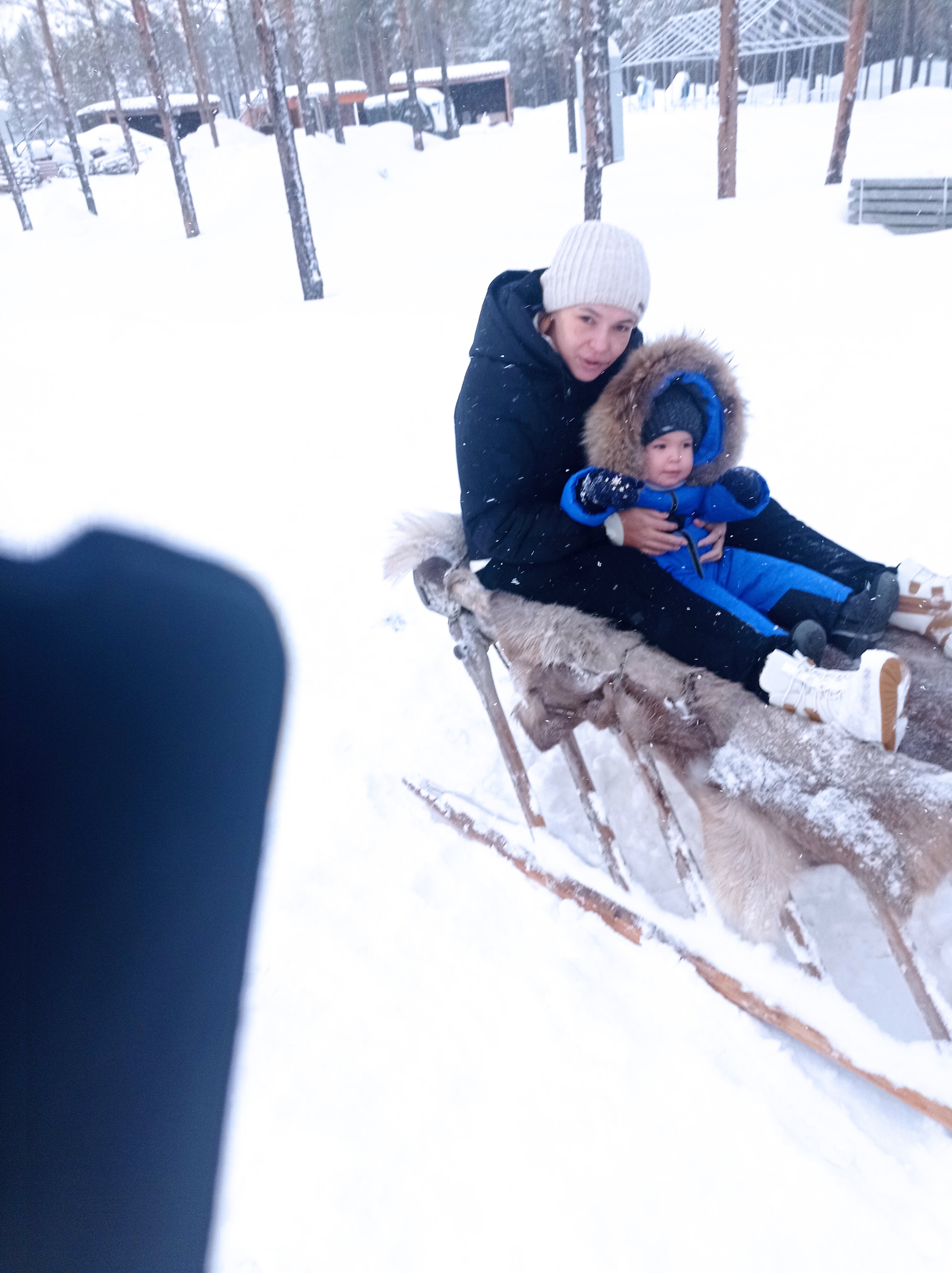 Фото Югорские Урманы