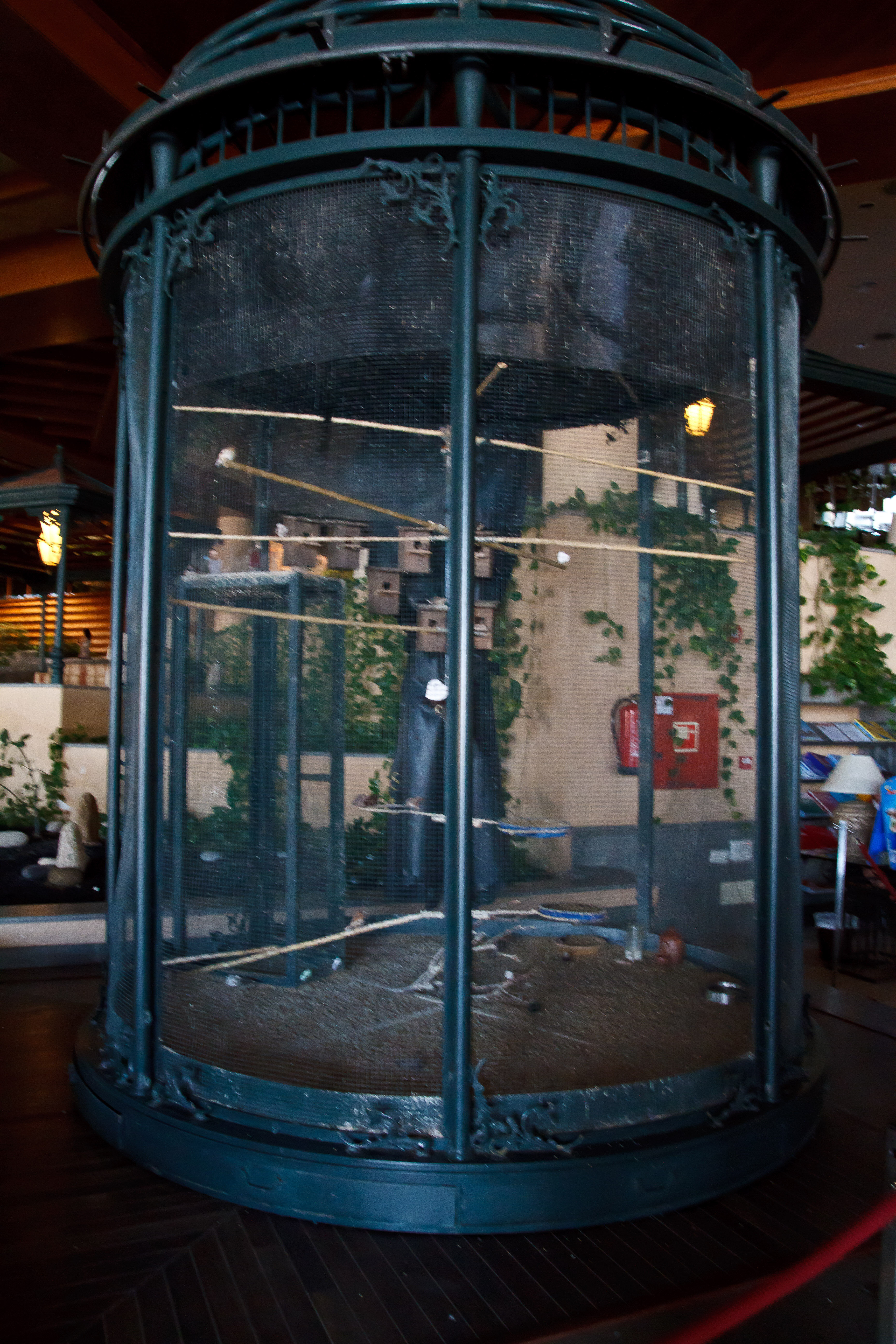 Фото Gf Gran Costa Adeje