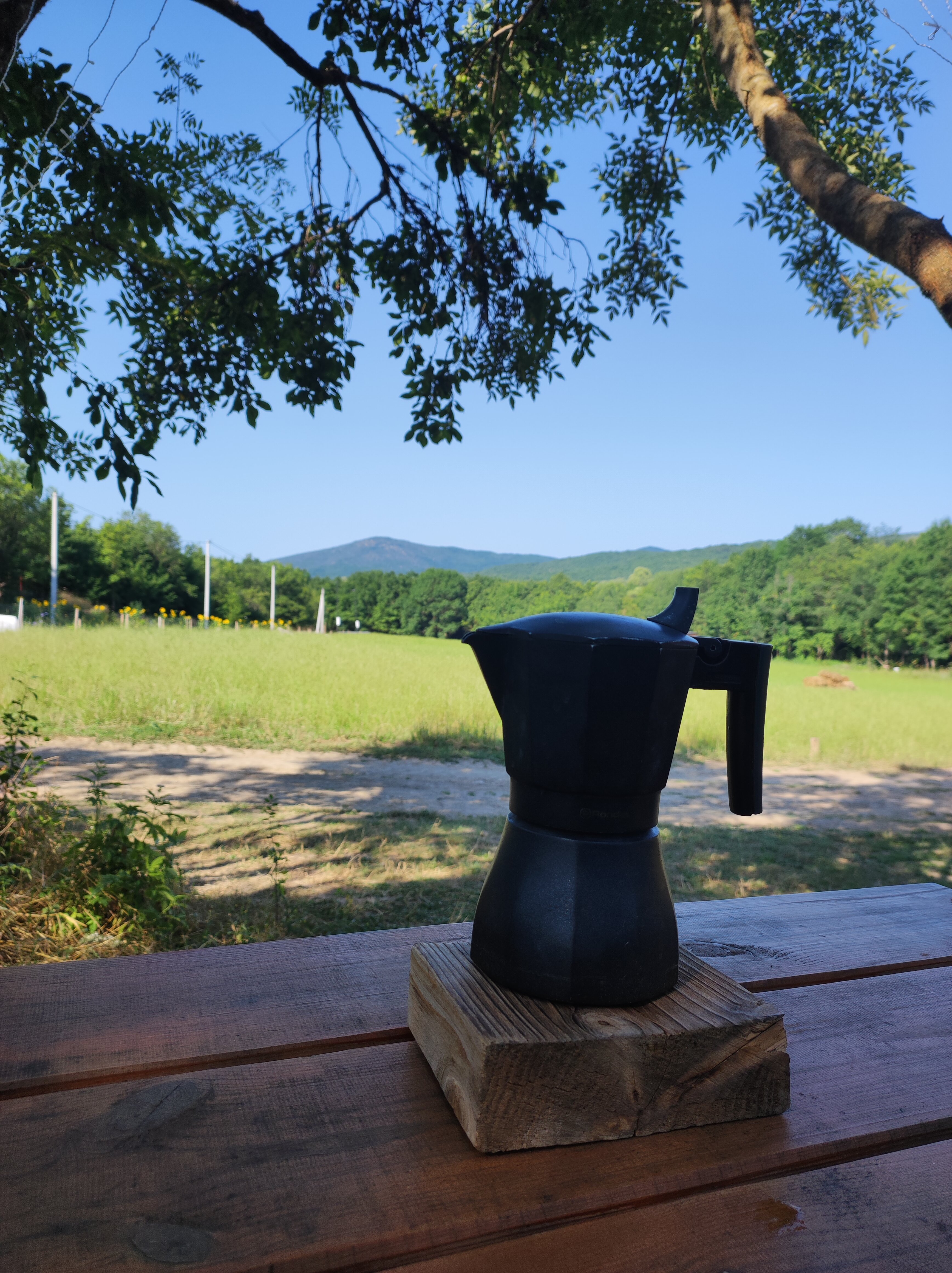 Фото Уркуста-парк