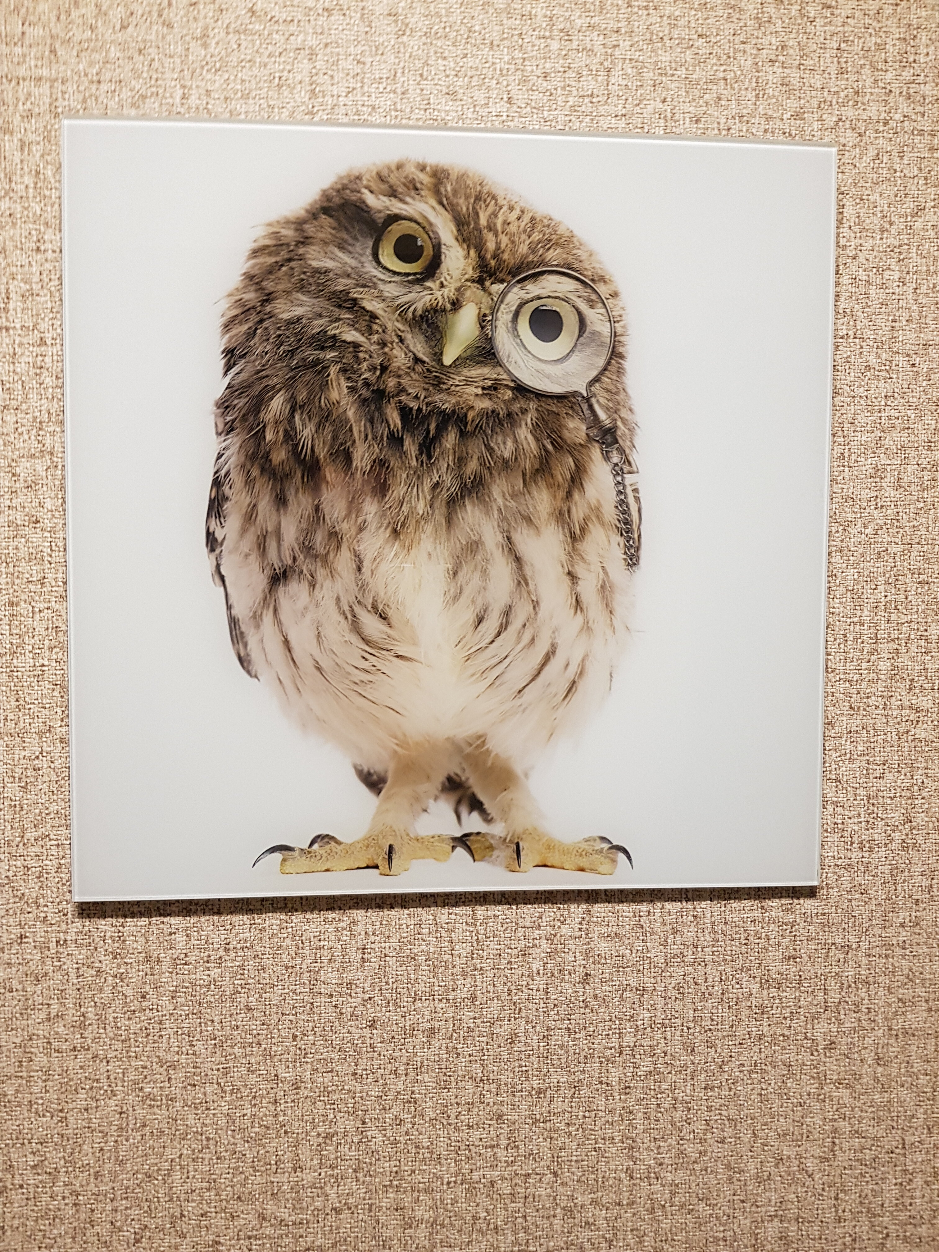 Фото Апартаменты Новая 30