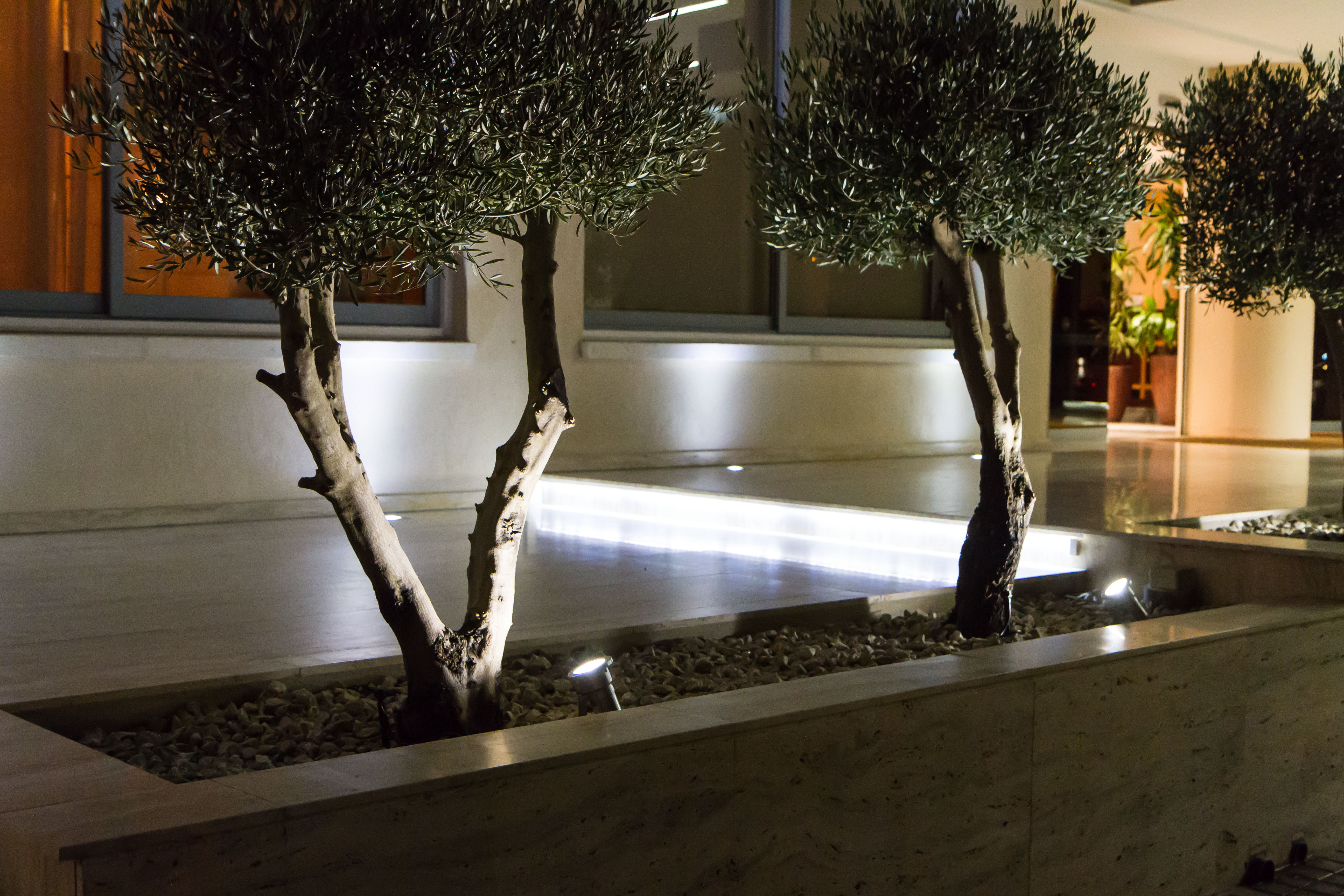 Фото Nestor Hotel