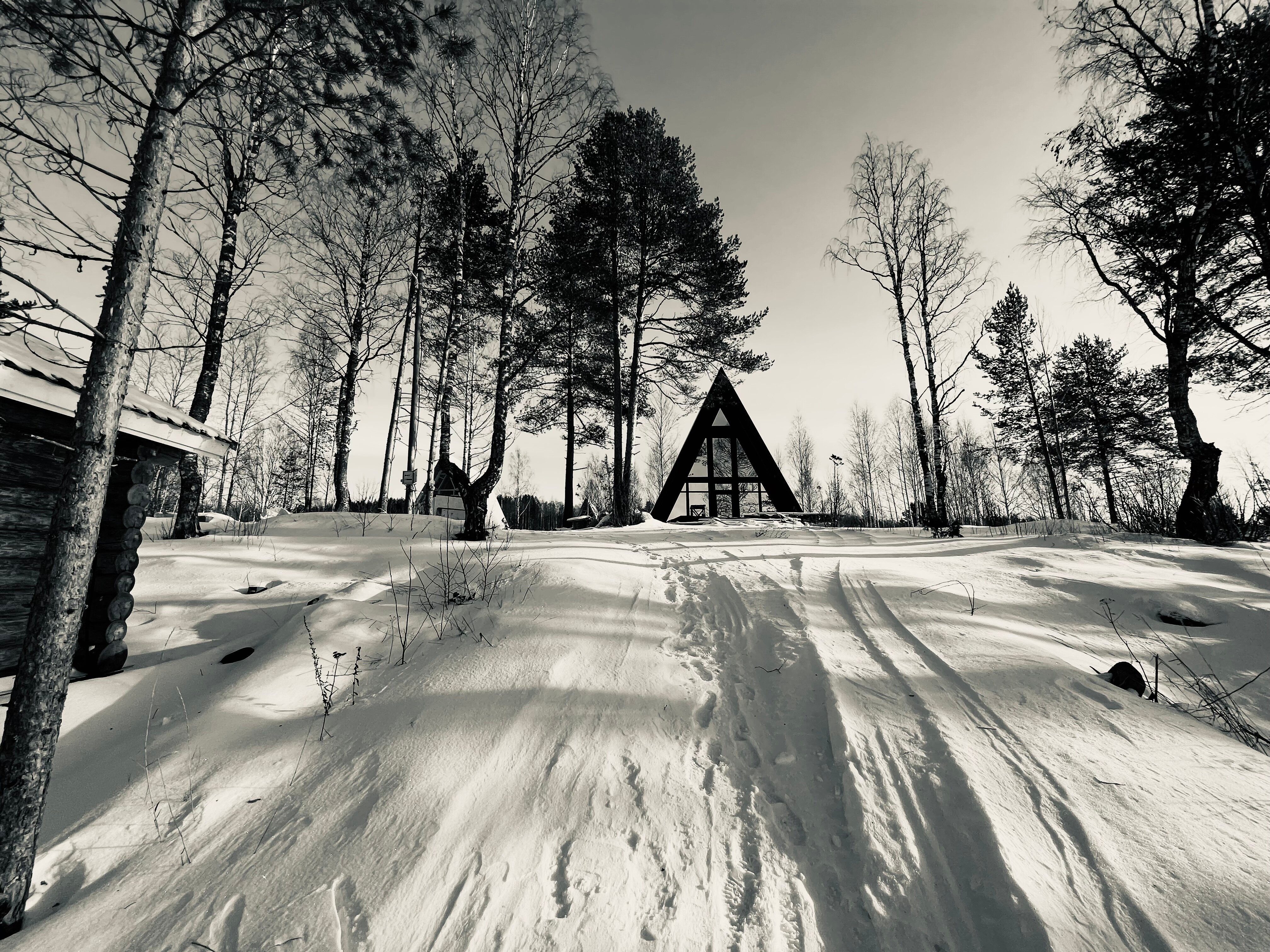 Фото Хутор Марья