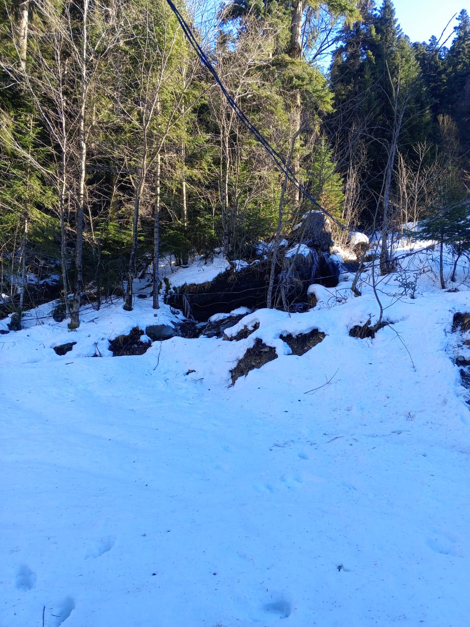 Фото Горная Хижина