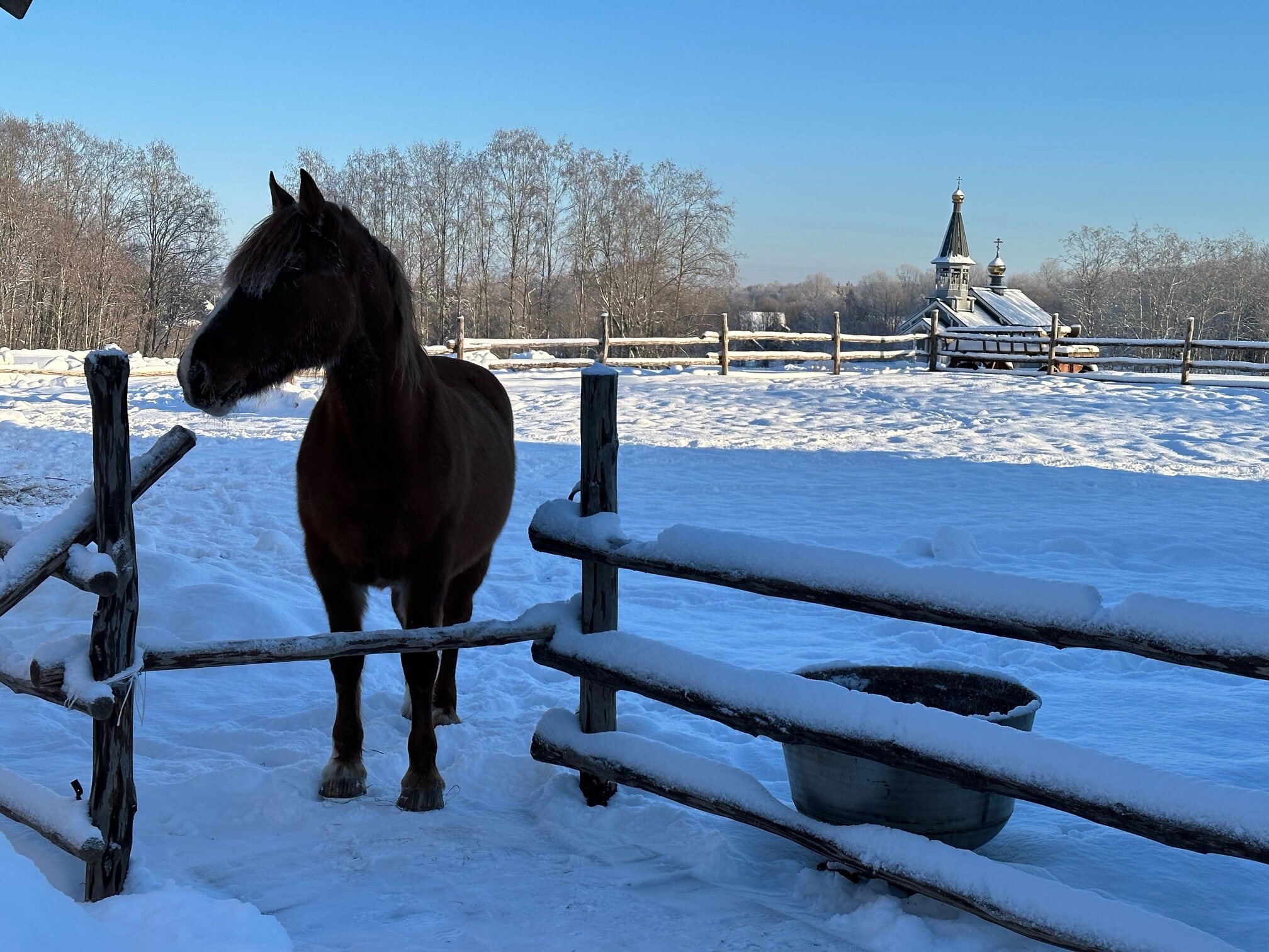 Фото Экоферма Старый Сиг