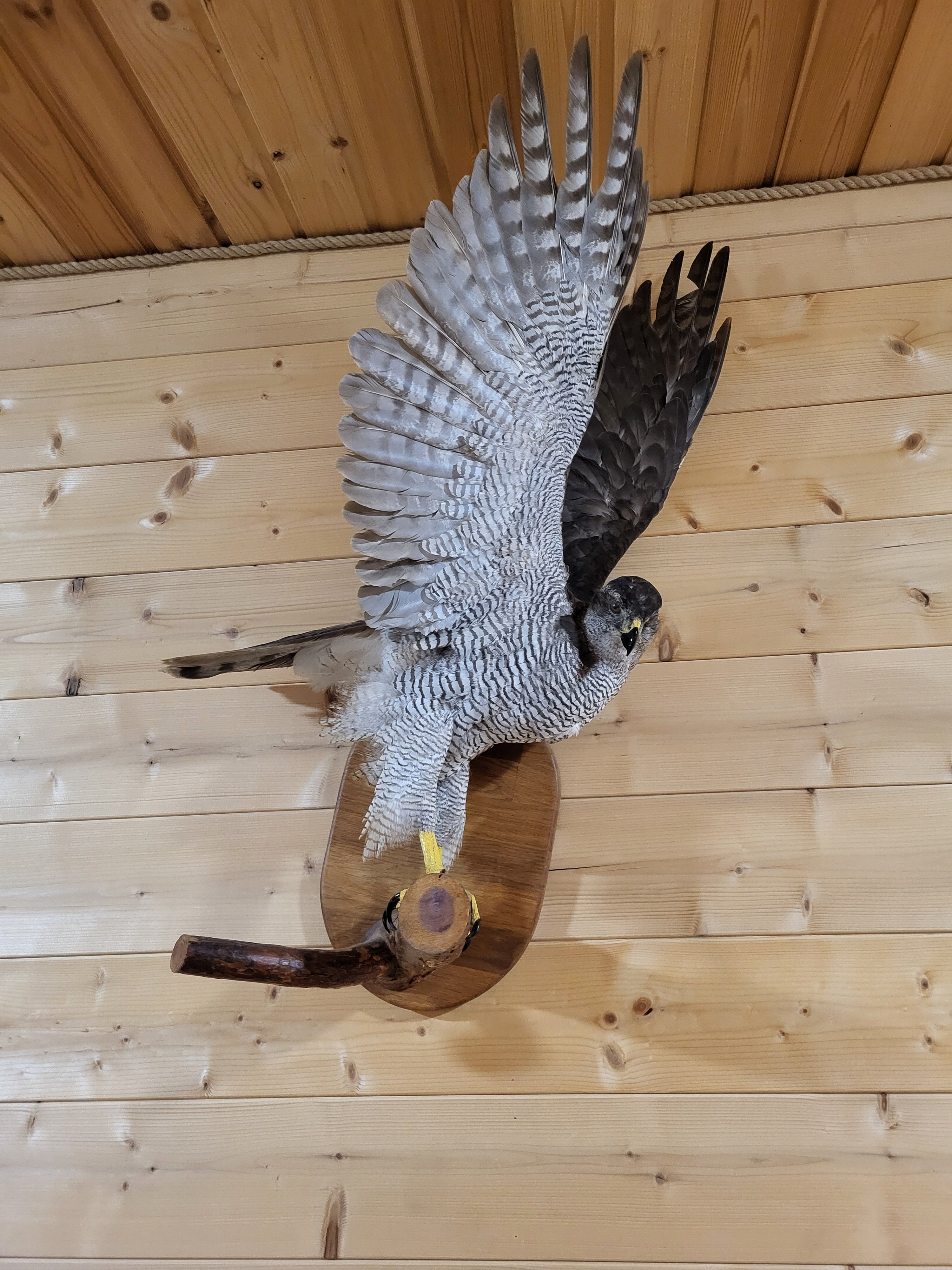 Фото Проломовка