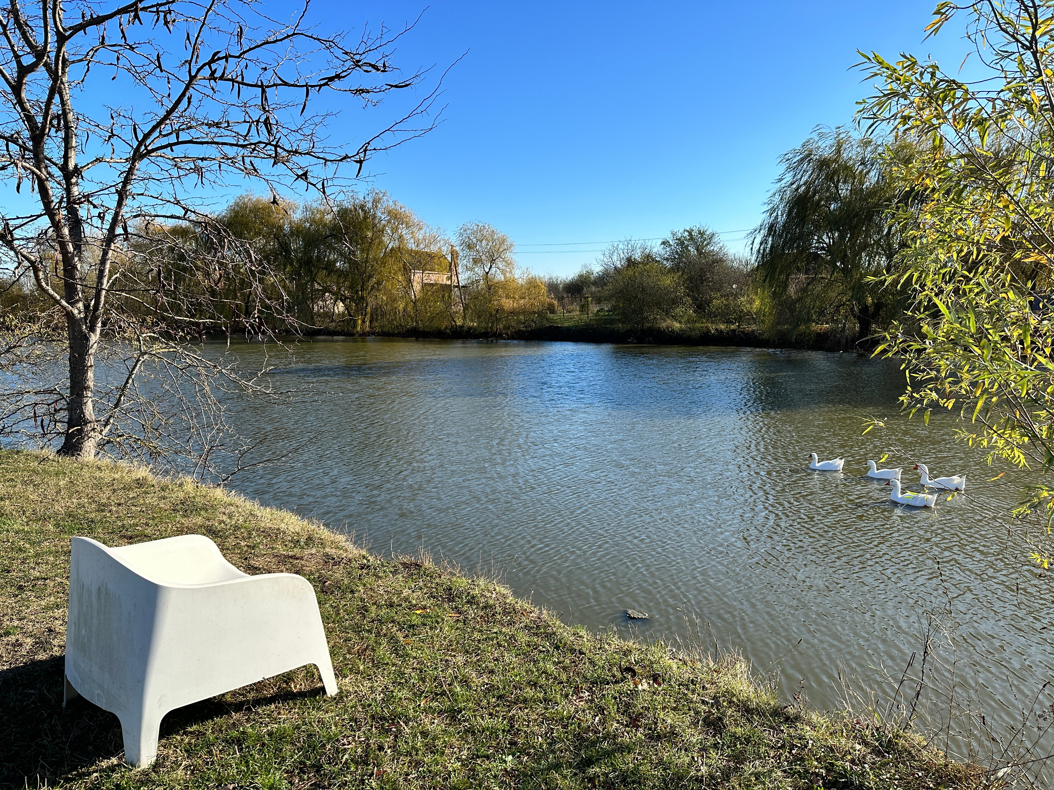 Фото Пруд Пруди