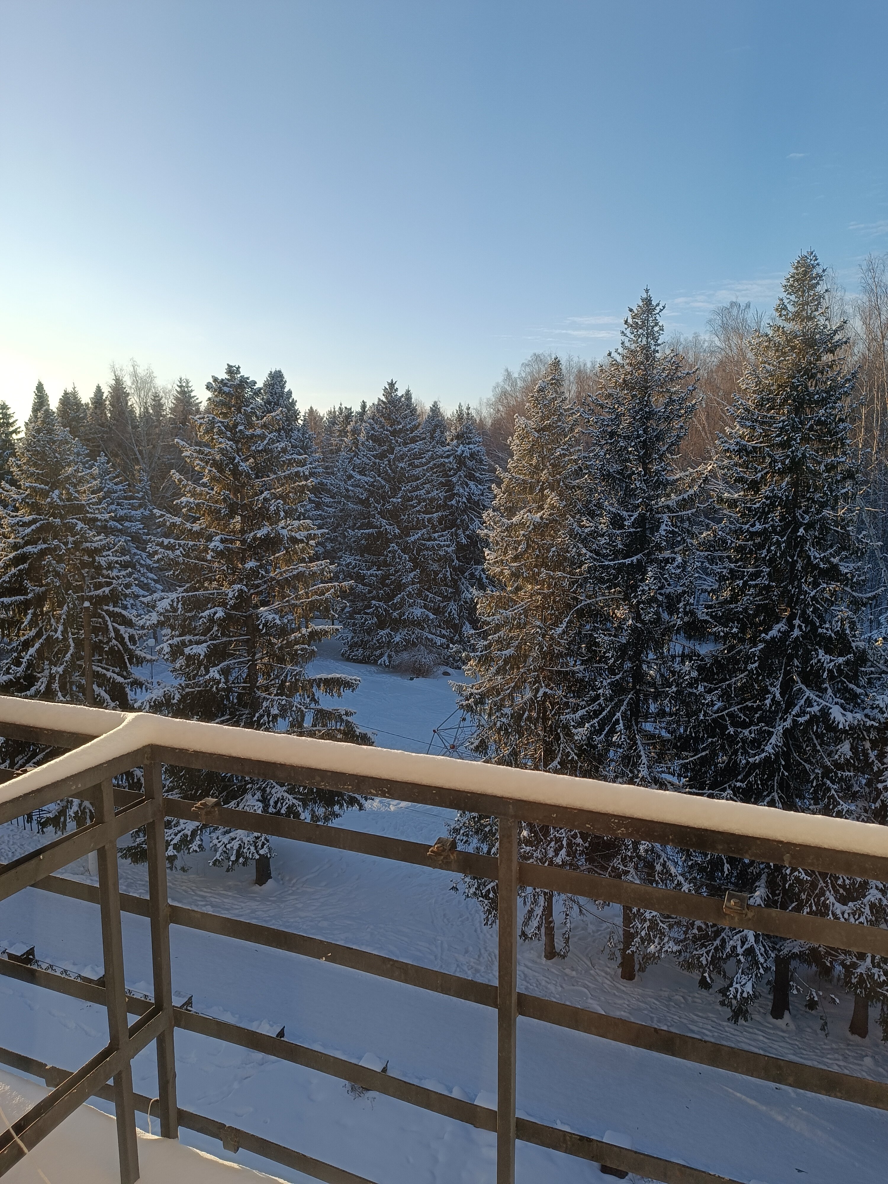 Фото Буревестник