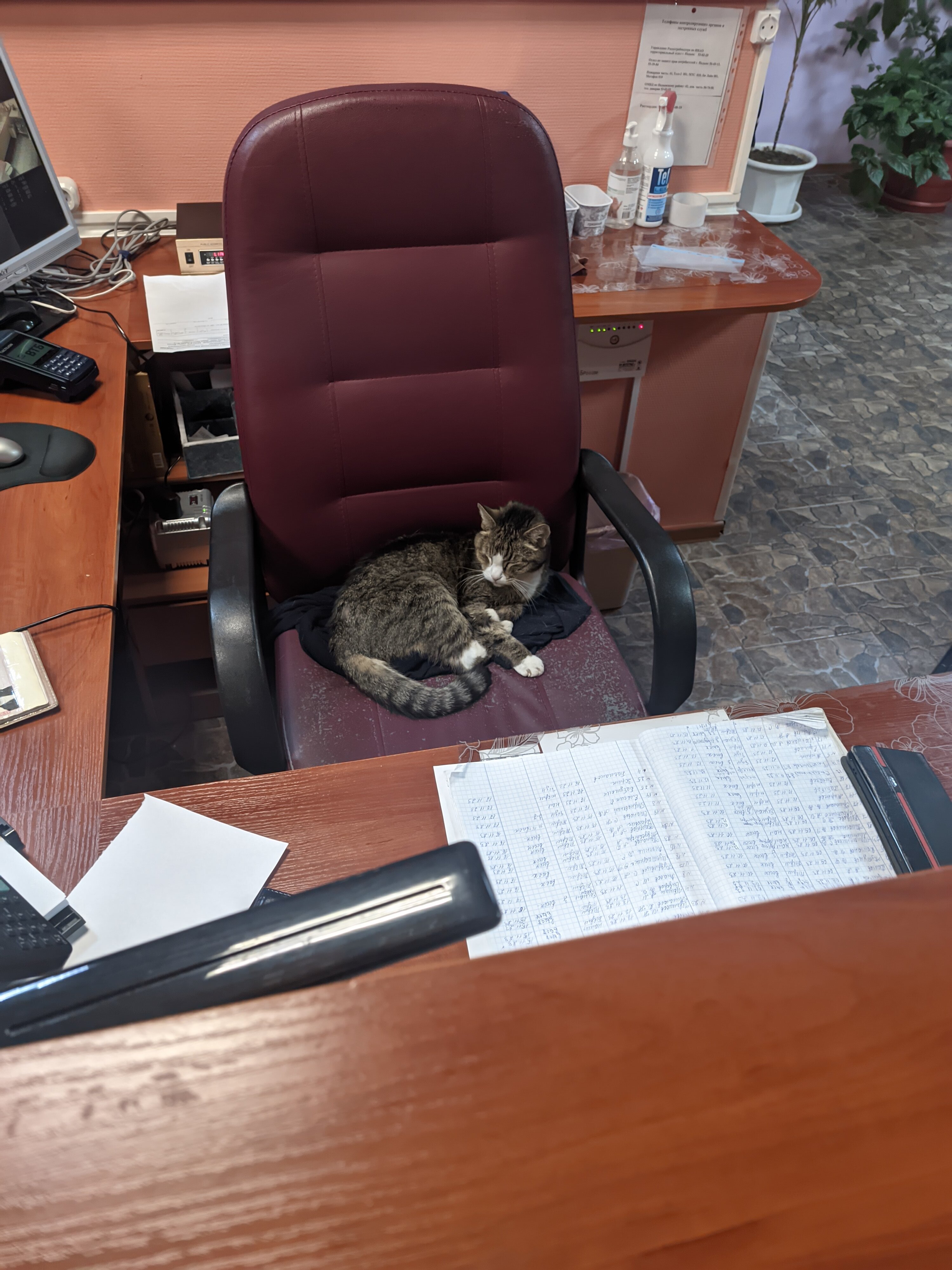 Фото Надежда