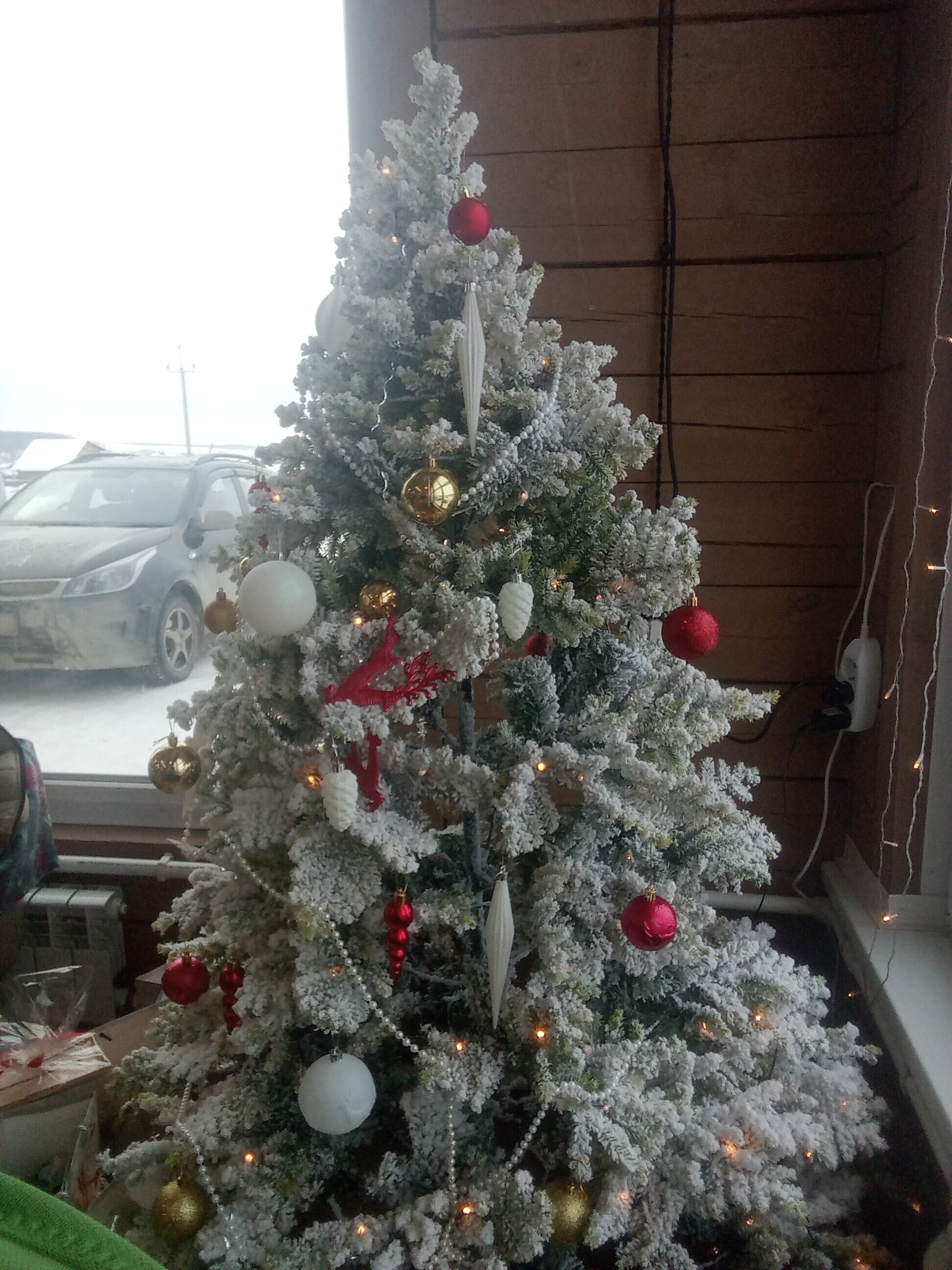 Фото Старший сын