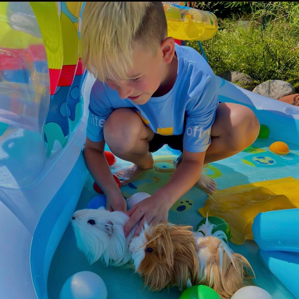 Фото Гостевой Дом Изабелла