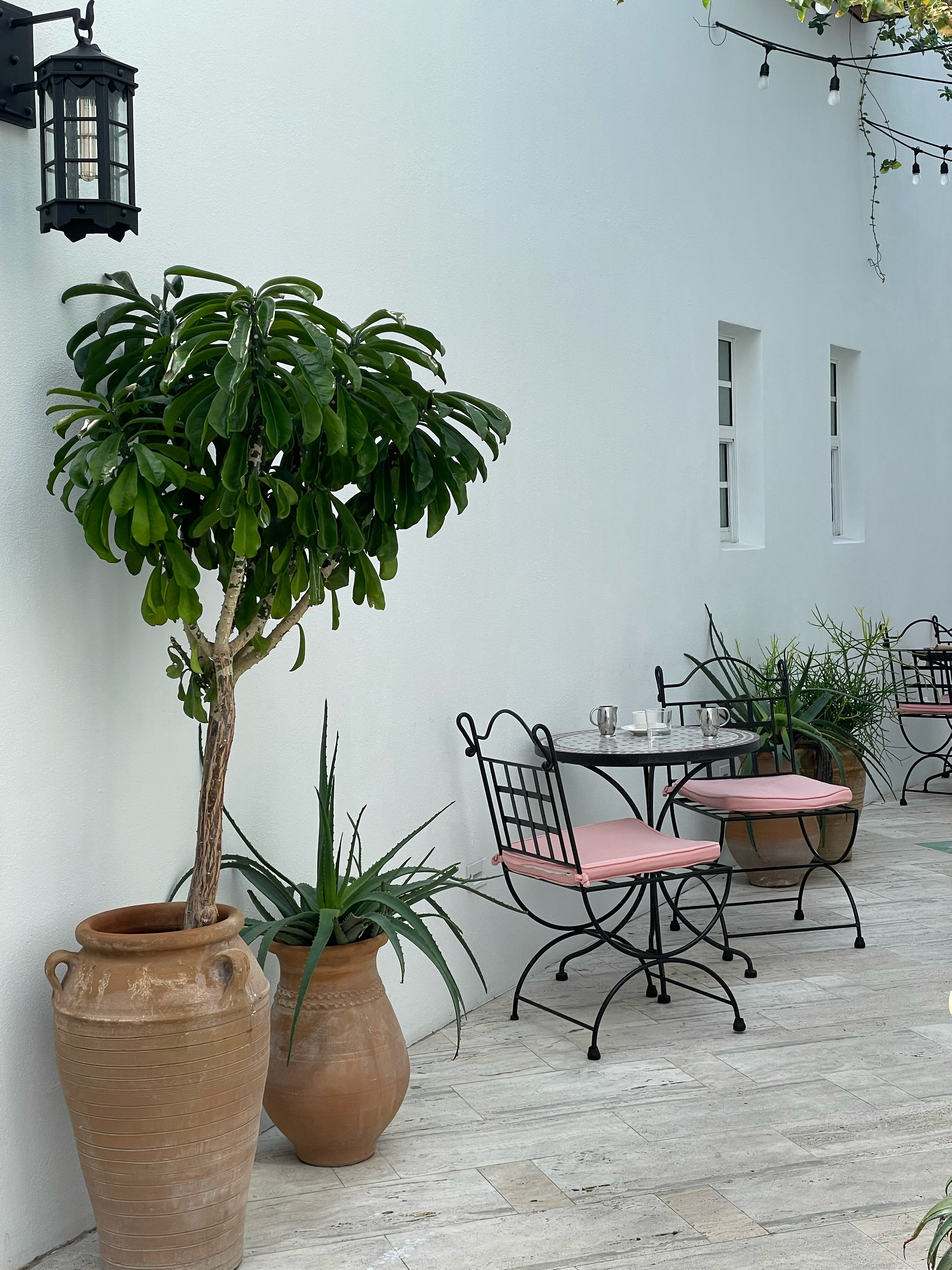 Фото Esmé Miami Beach