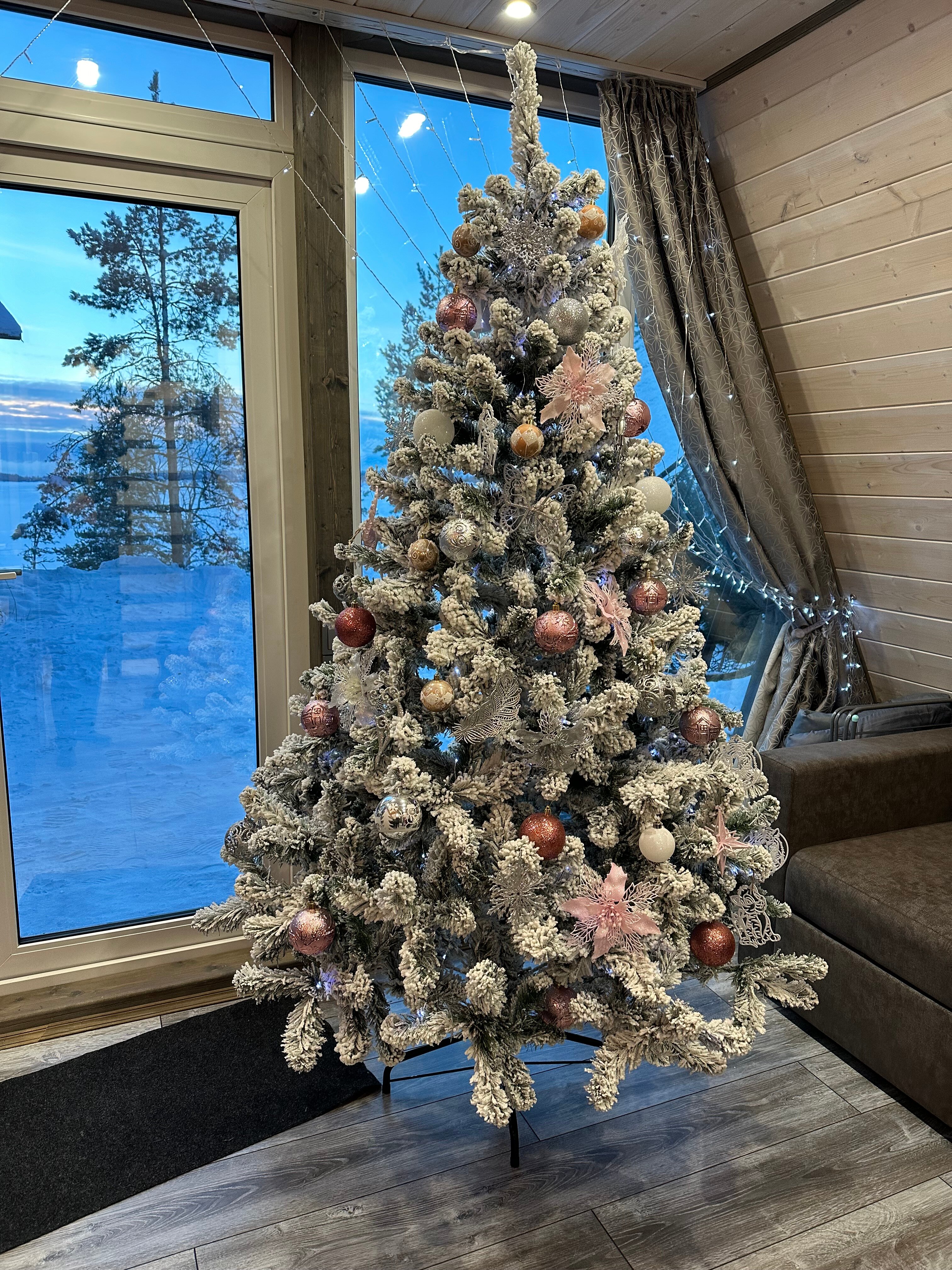 Фото Dream House