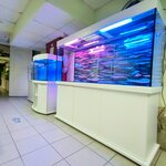 Akva-Studiya (Sovkhoznaya ulitsa, 18), aquariums