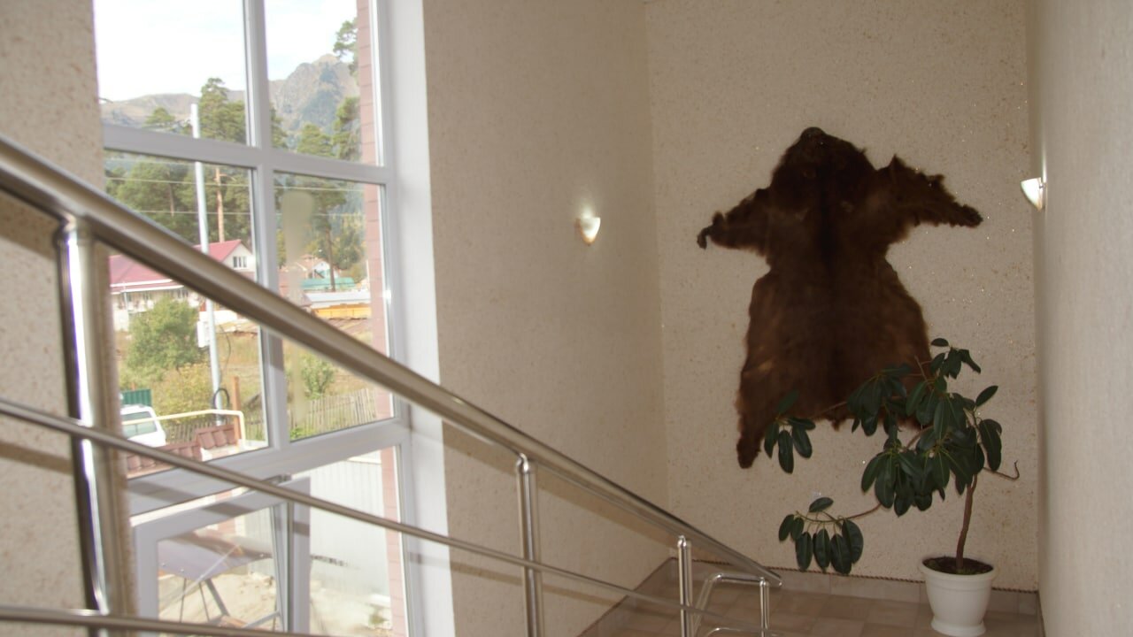 Фото Фаворит