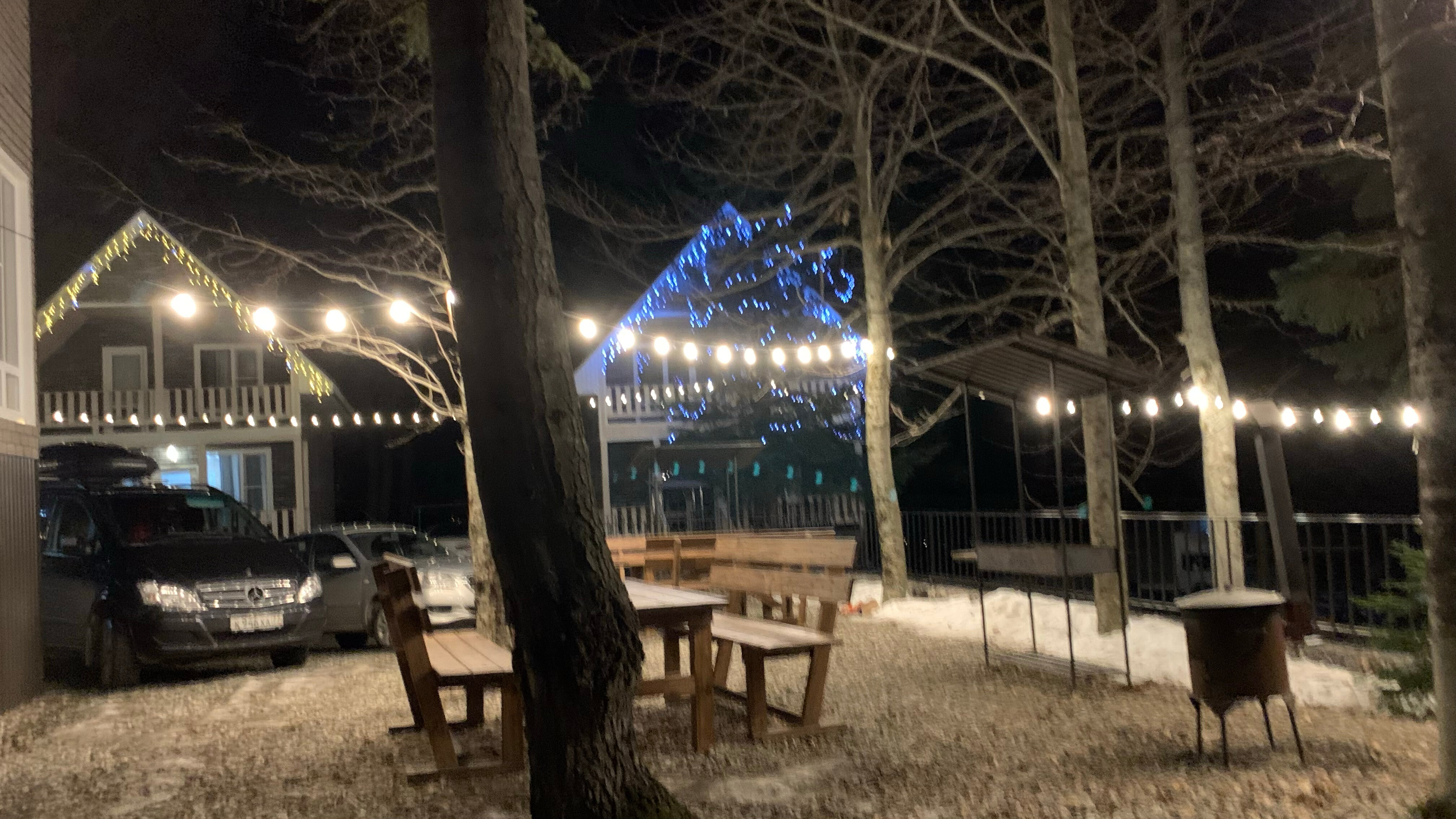 Фото Брусника