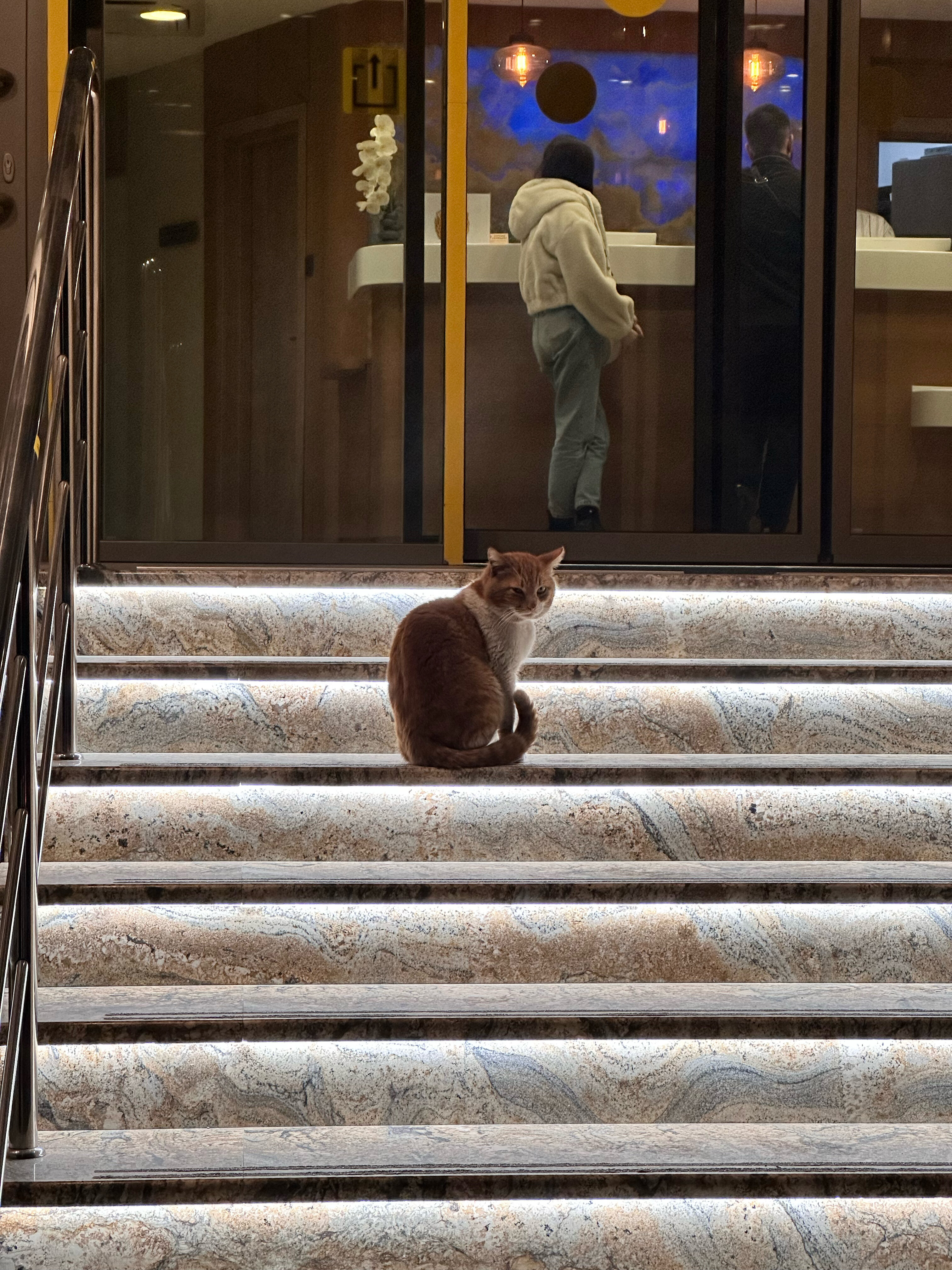 Фото 45-я Параллель