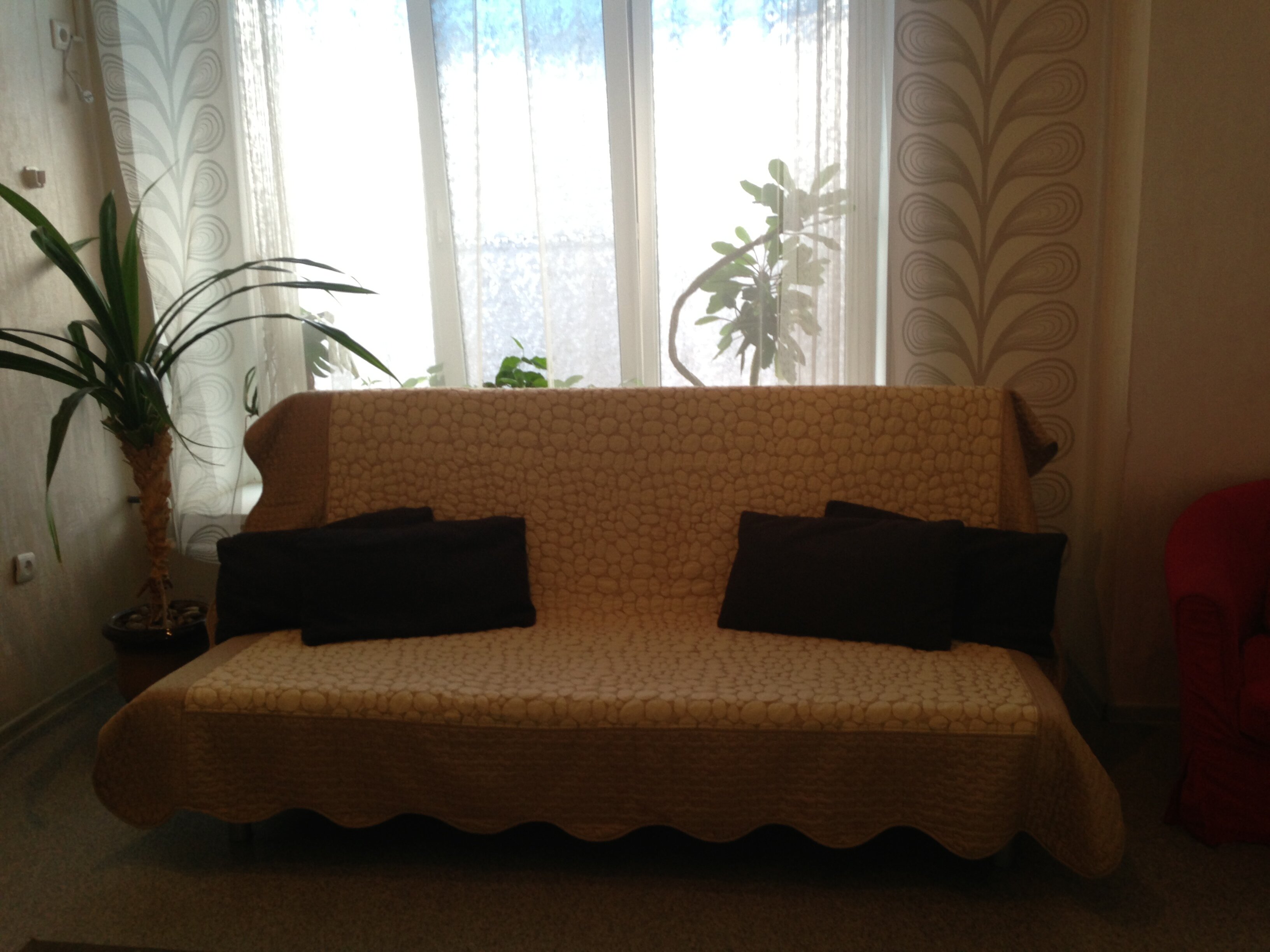 Фото Дельта