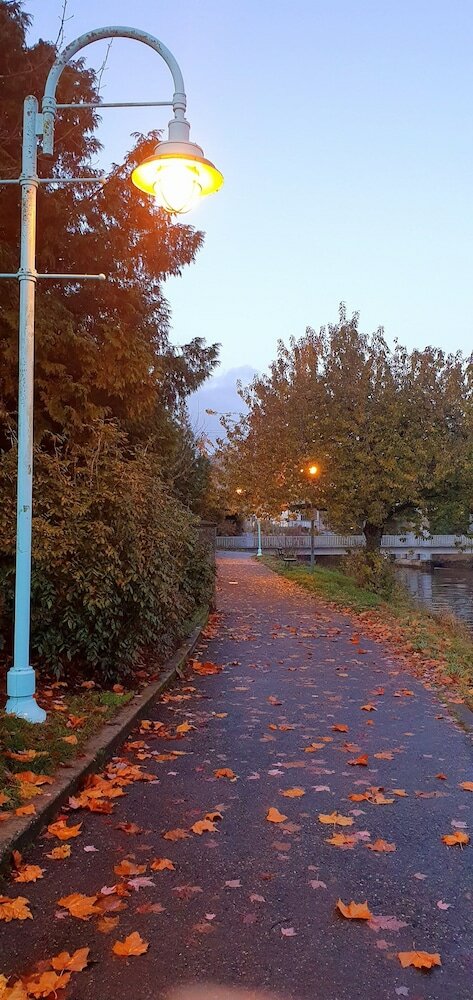 Фото Painted Turtle Guesthouse