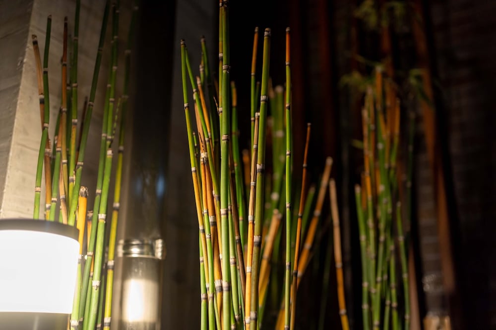 Фото Resi Stay Kyo Ryuvilux Nijo