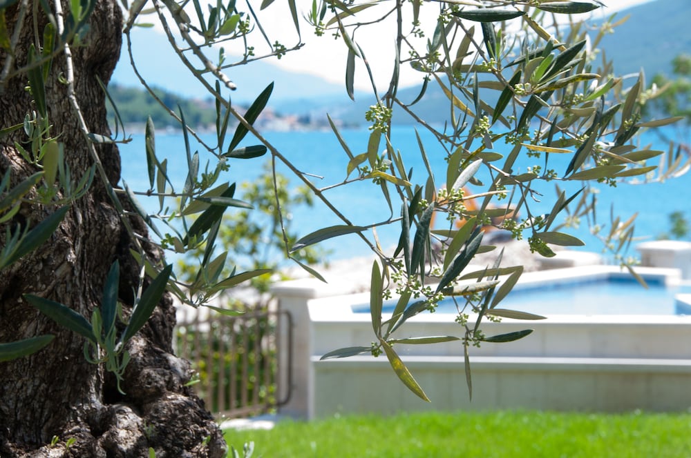 Фото Boutique Hotel Kredo