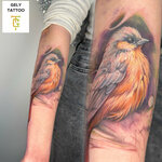 Gely_tattoo (Верхнеполевая ул., 8, Ульяновск), тату-салон в Ульяновске