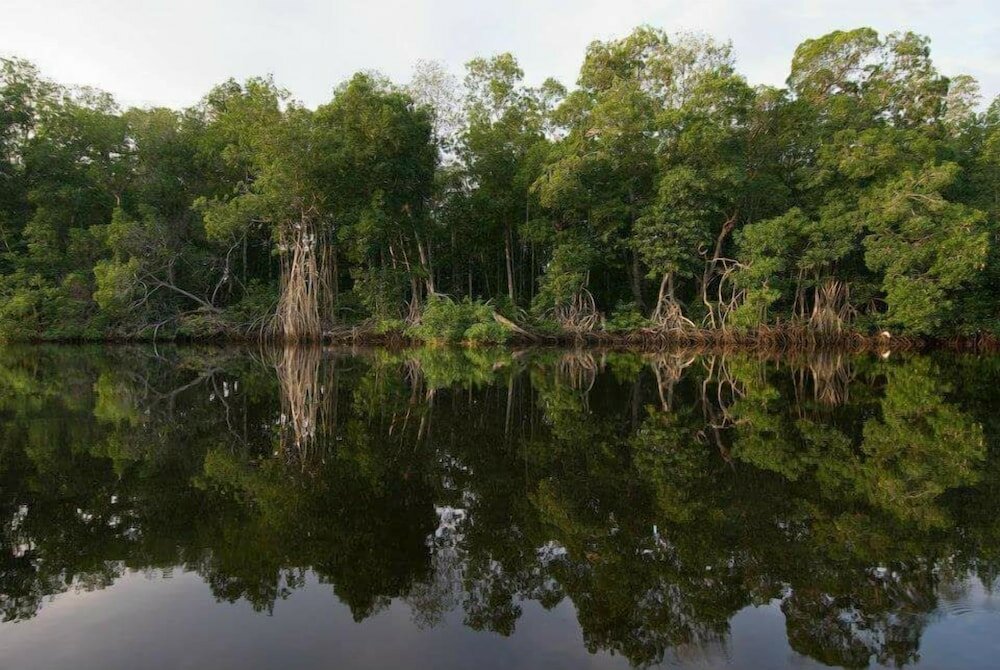 Фото Hotel El Canal Chocohuital