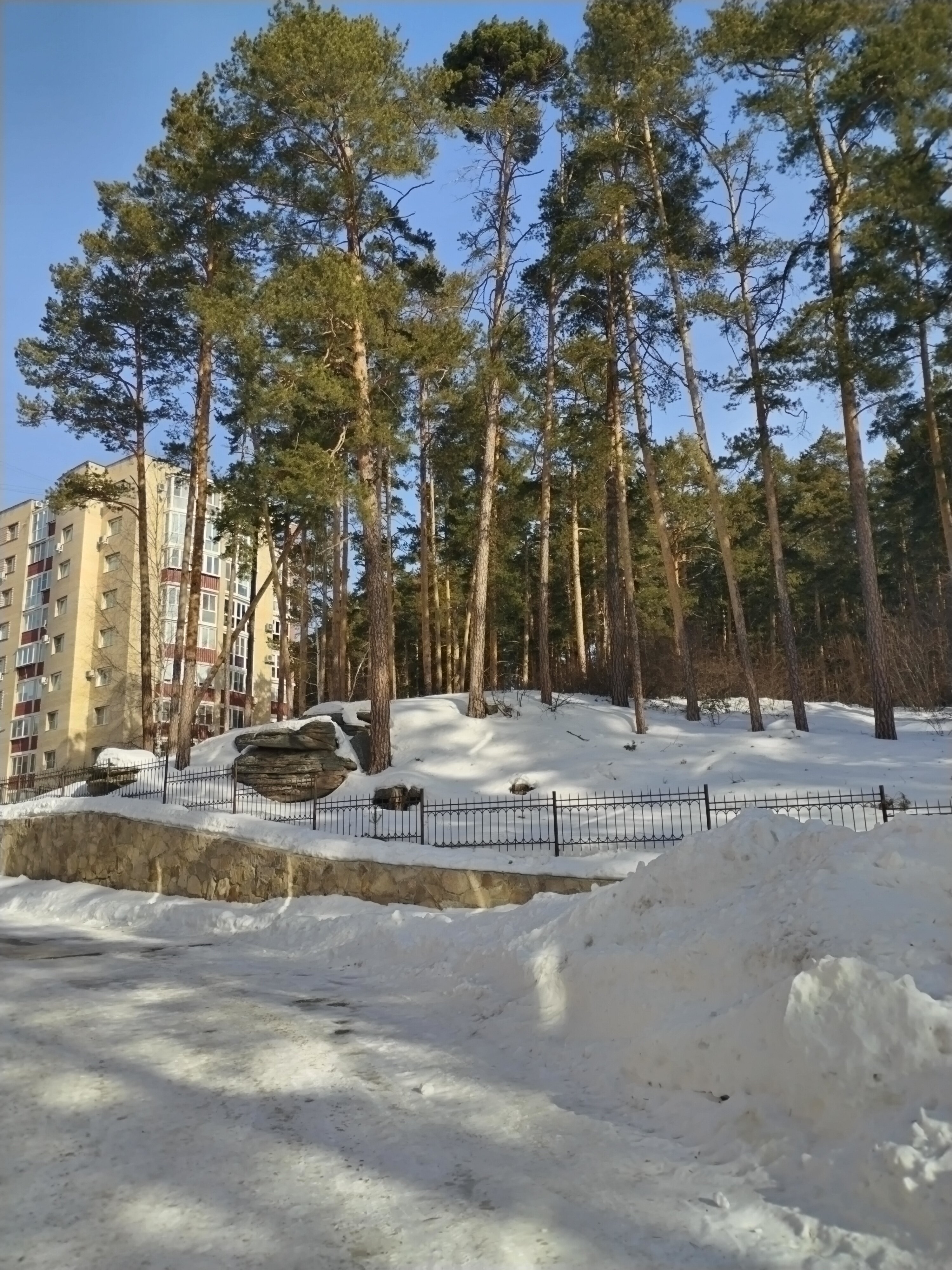 Фото 4 Апельсина