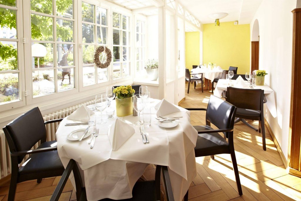 Фото Hotel Schutzen Rheinfelden