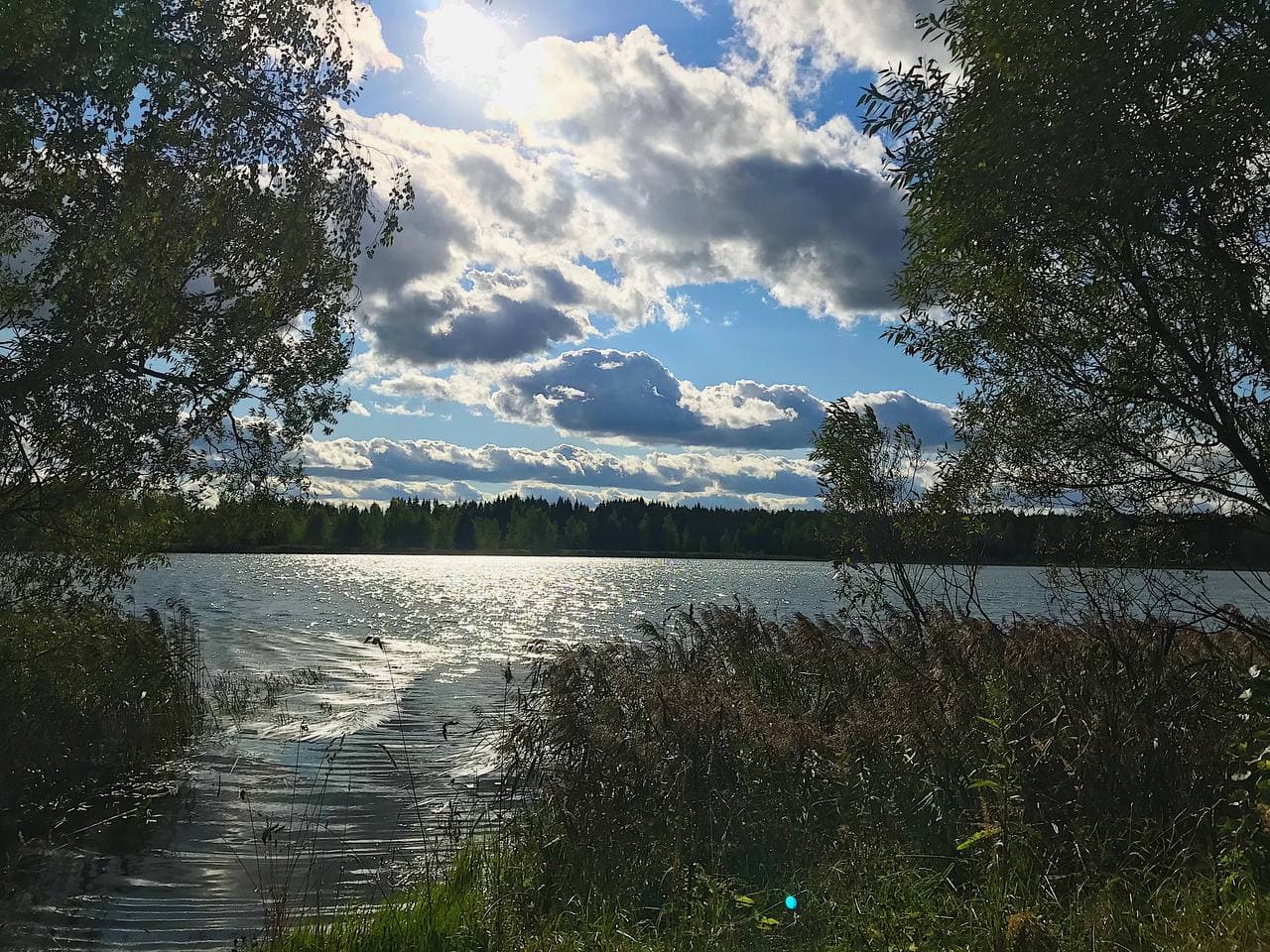 Фото ХоллиЛэнд 