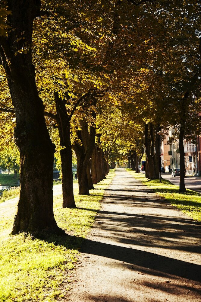 Фото First Hotel River C