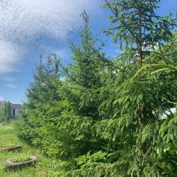 Фото Maxrooms у Плеса