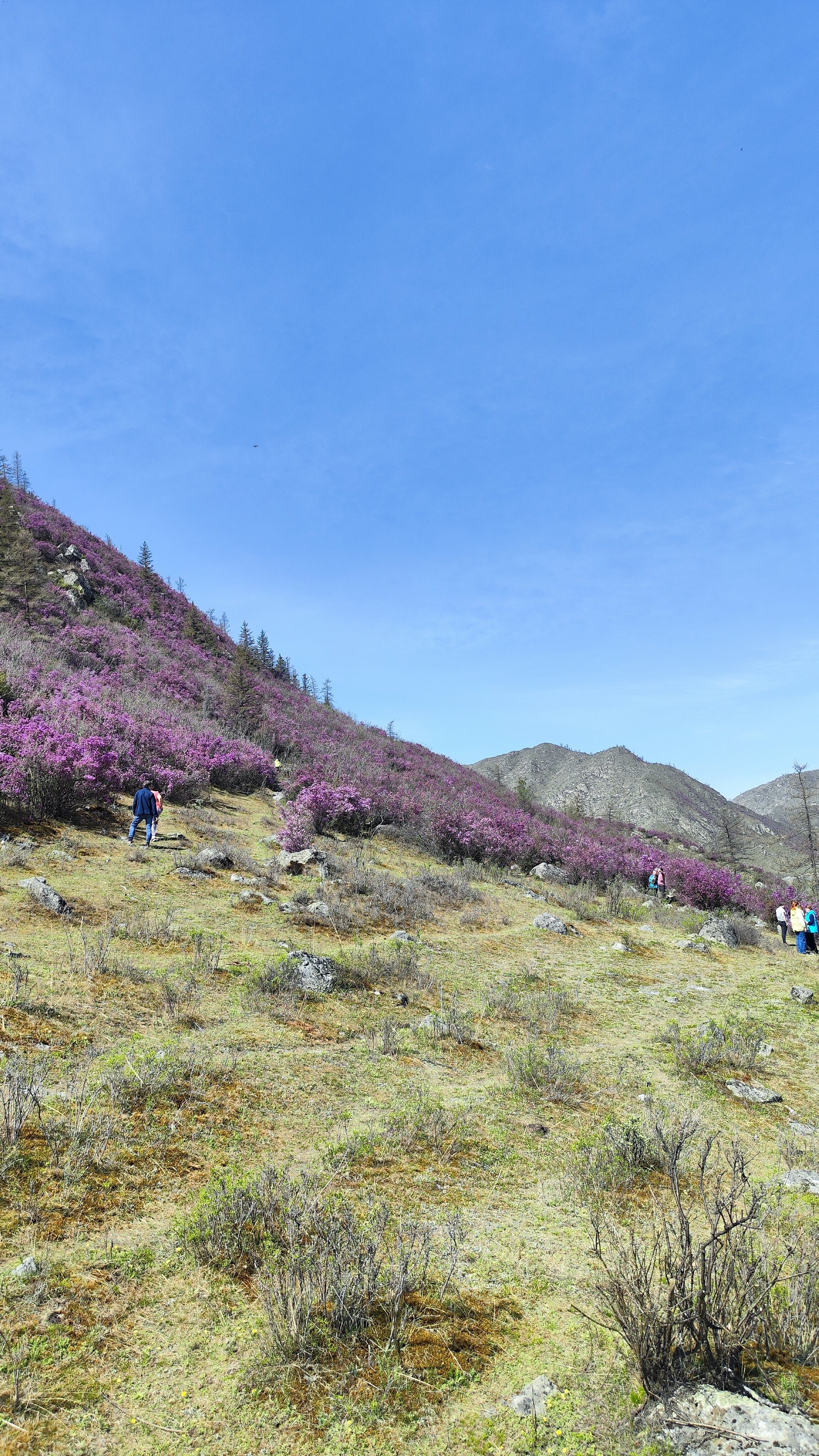 Фото Шале Легенда