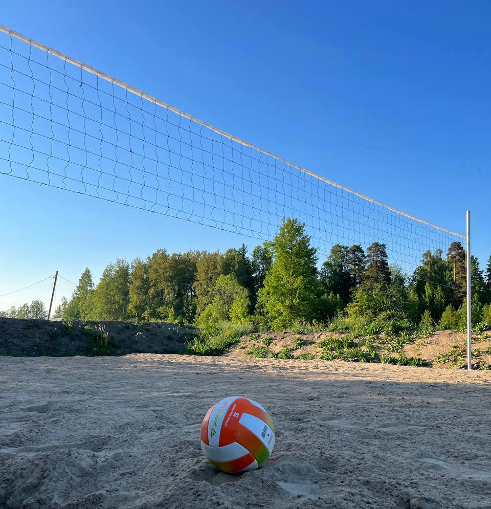 Фото Ракита