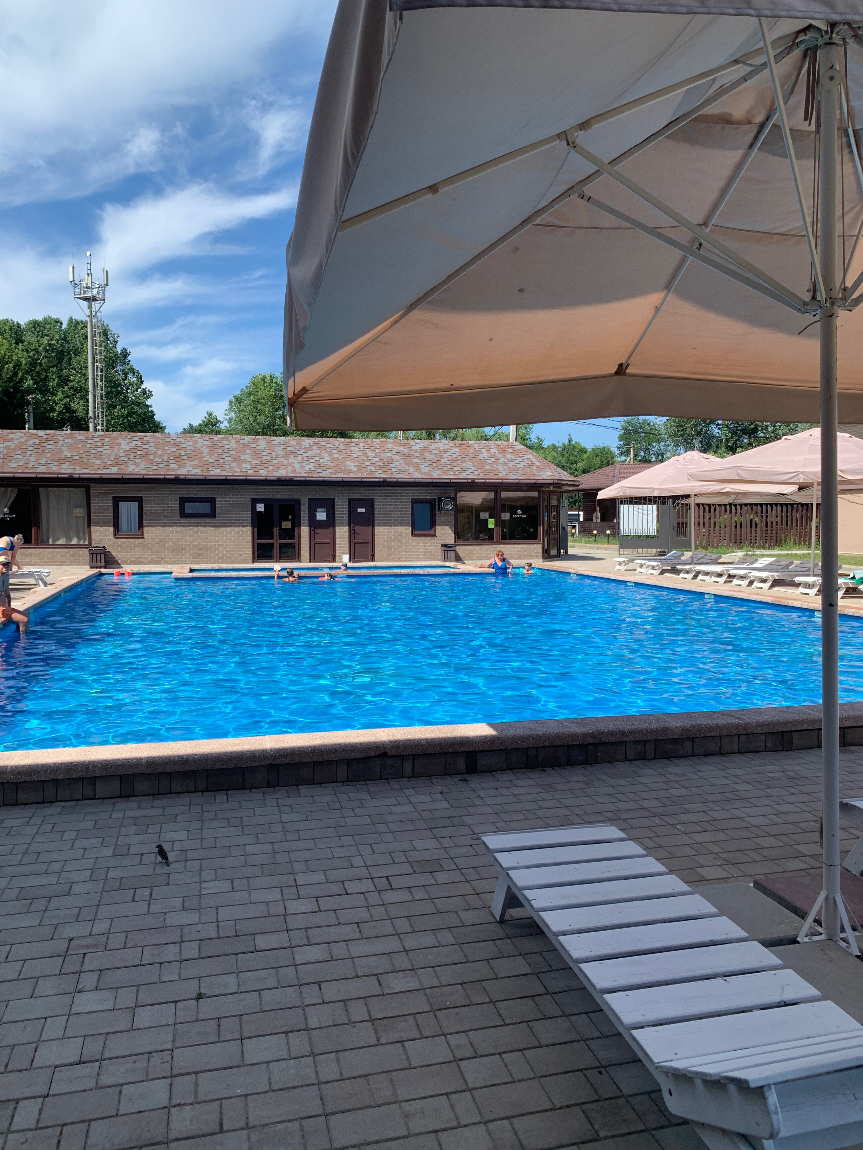 Фото Кипарис