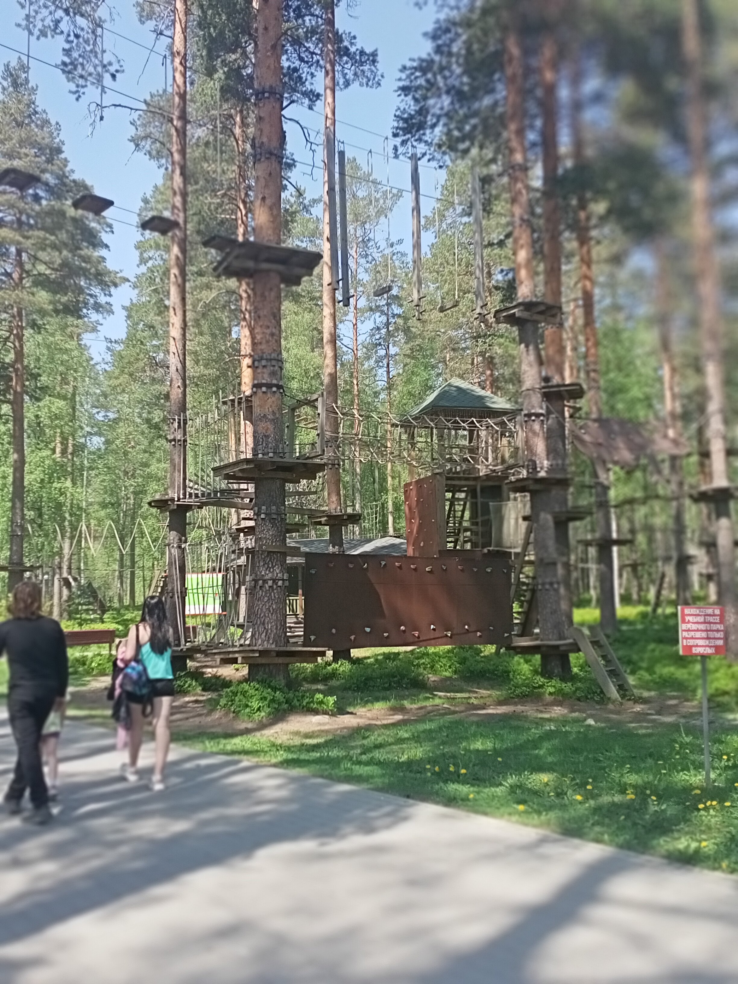 Фото Мичуринский дворик