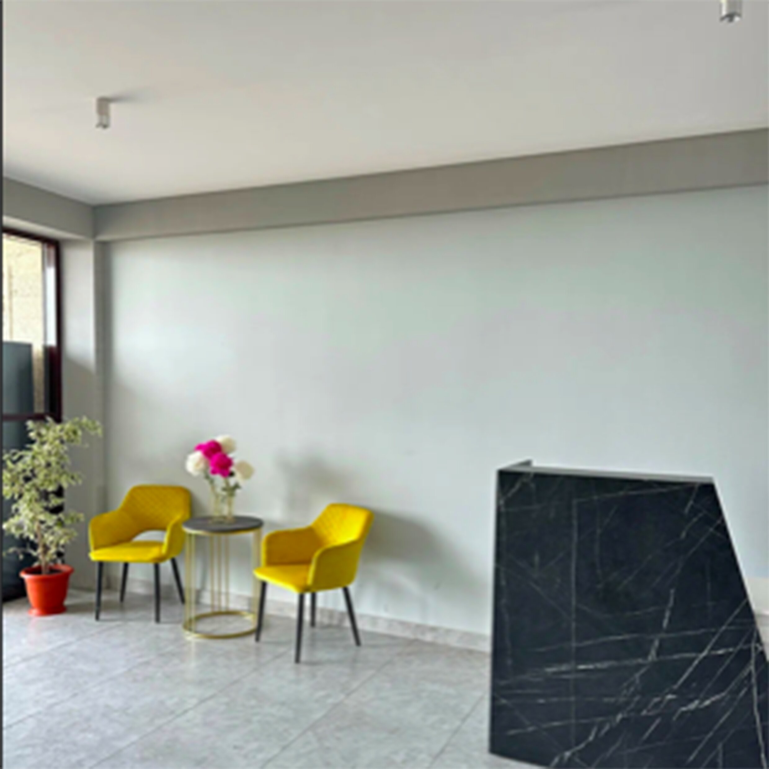 Фото Резидент-палас