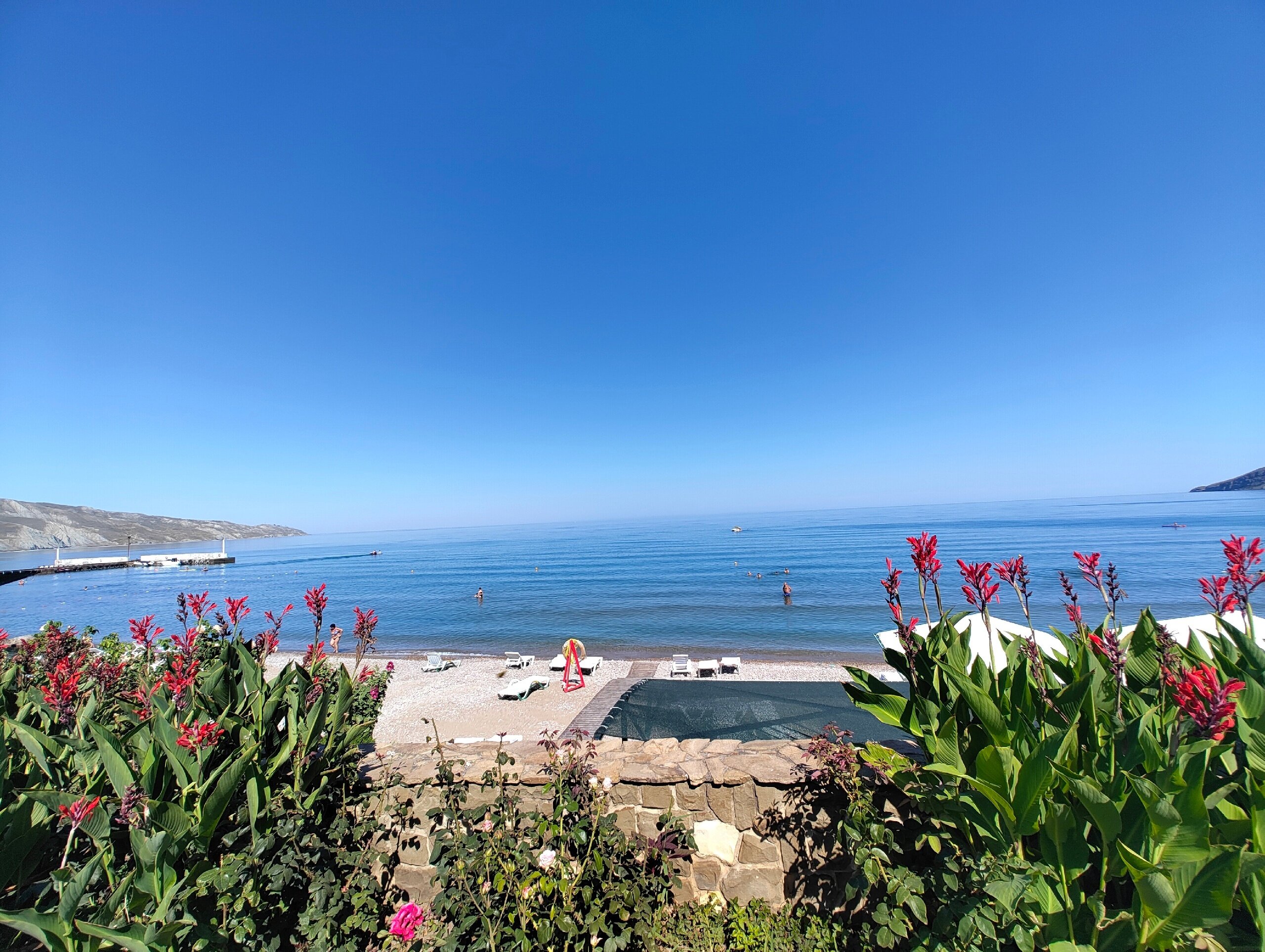 Фото Эллинг у Зои