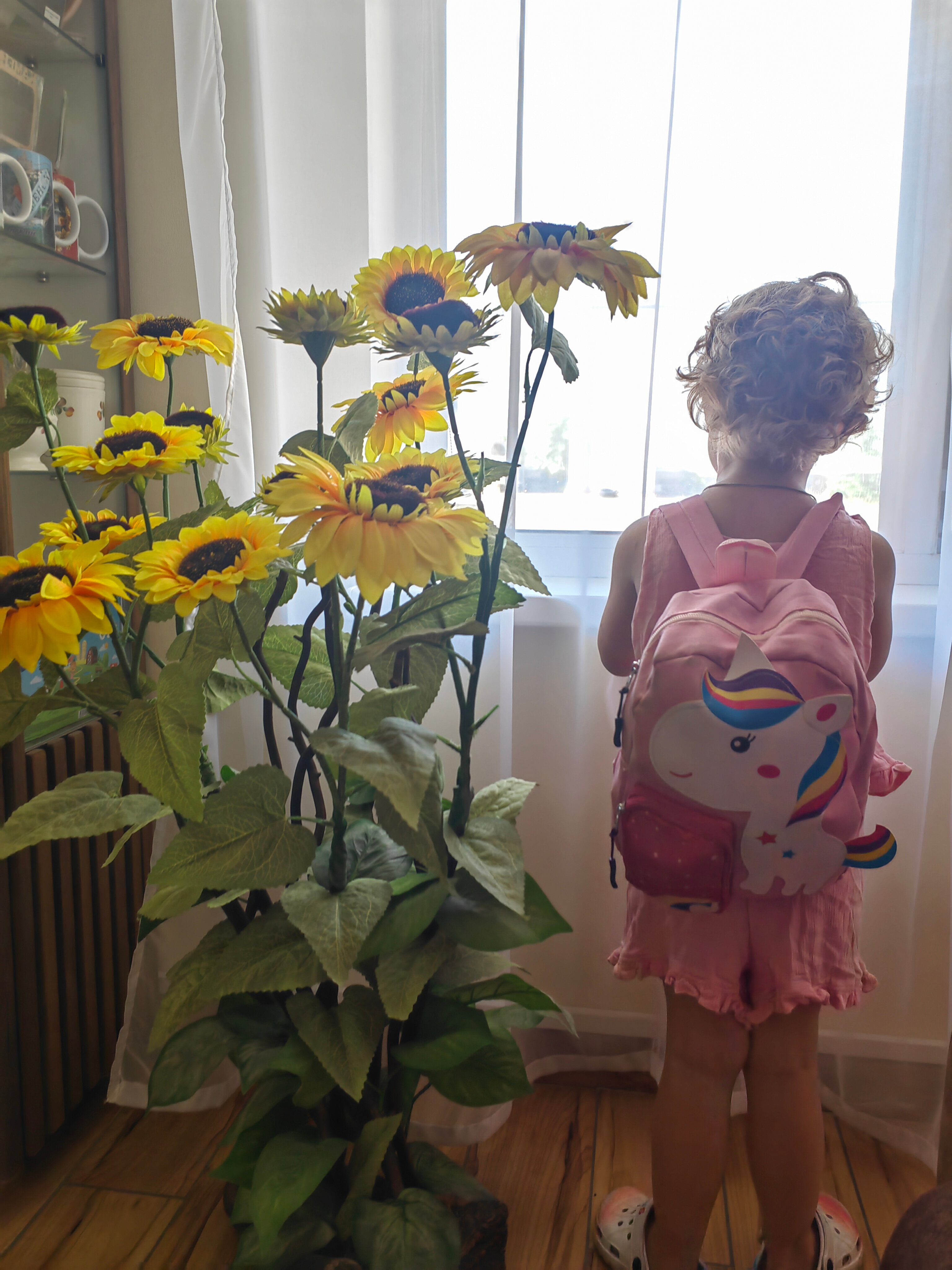 Фото Подсолнух