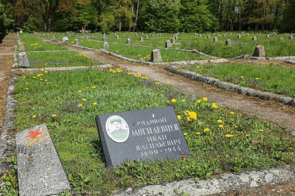 Cemetery cmentarz Bródnowski, Warsaw, photo