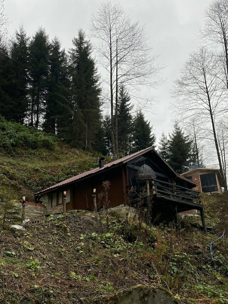 Hotel Ayder Guven Mountain House, Camlihemsin, photo