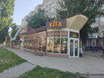 Beer Hall (Telmana Street, 4А), beer shop