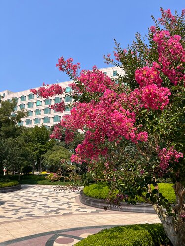 Внешний вид отеля Wyndham Qingdao в Циндао, фото 4